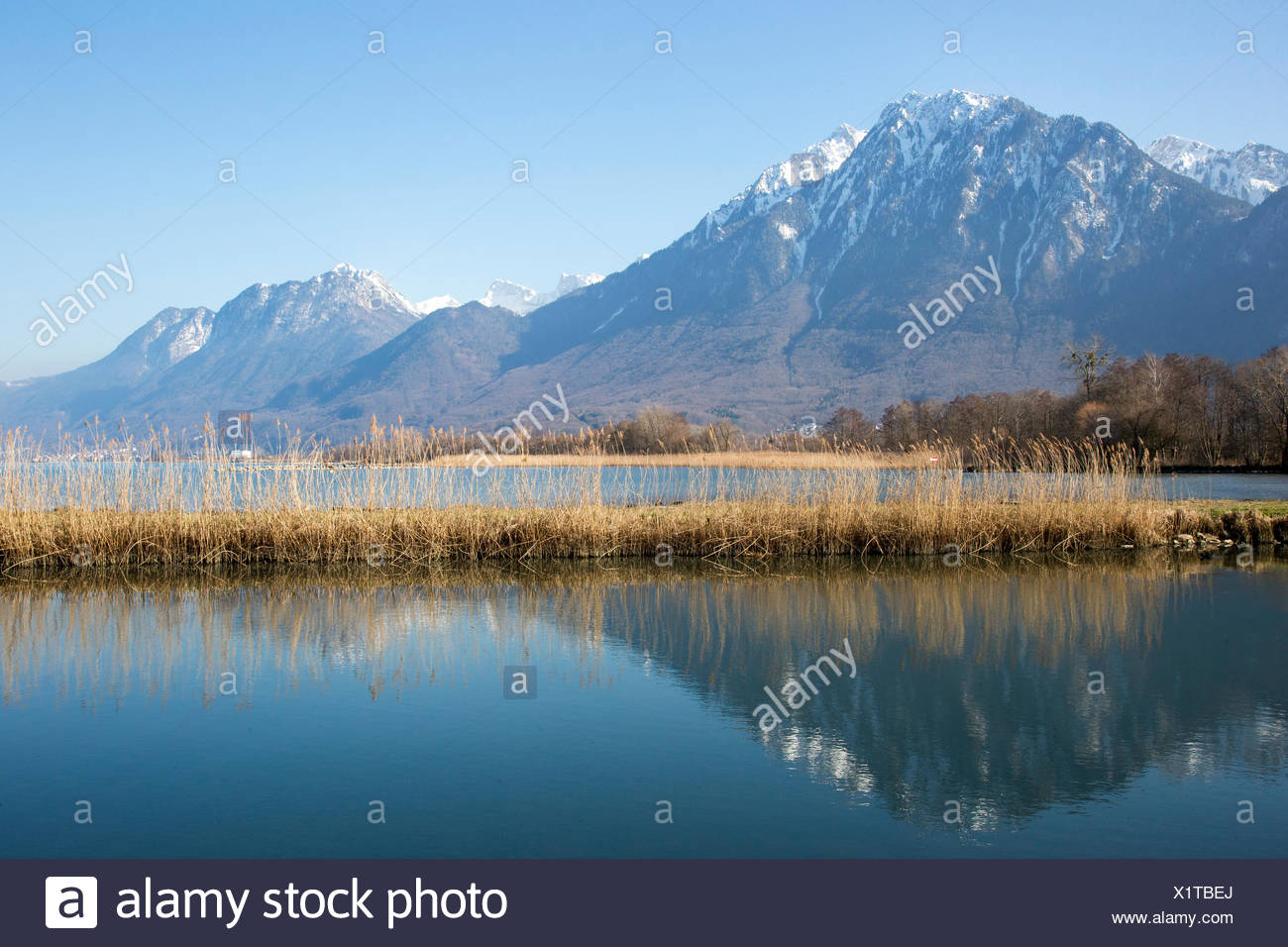 Le Lac Léman Genève à La Fin De Lhiver La Suisse Vue De