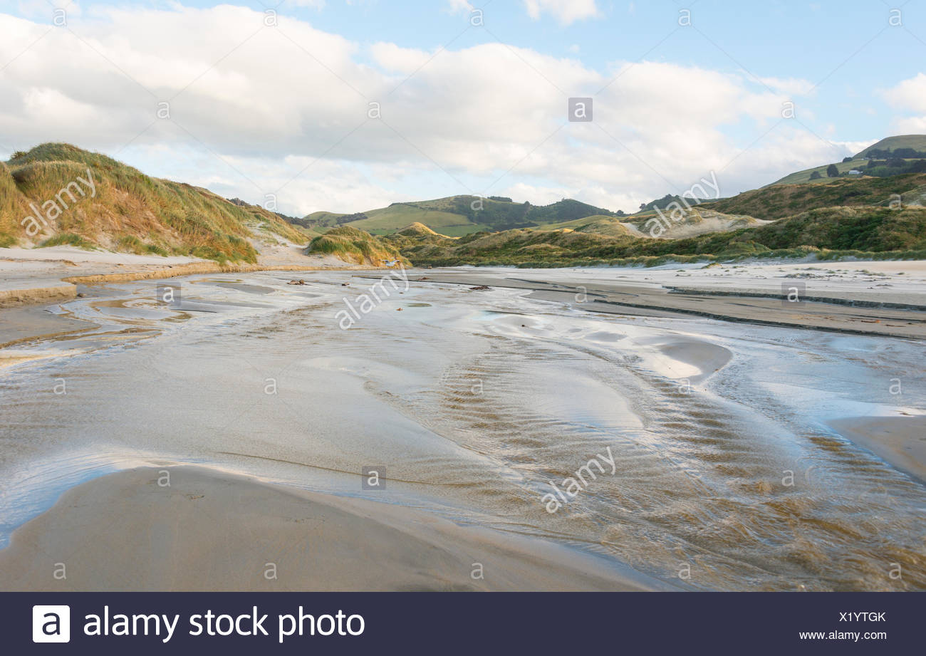 Phlébotome Bay, Dunedin, Otago Peninsula, Southland, Nouvelle-Zélande Banque D'Images