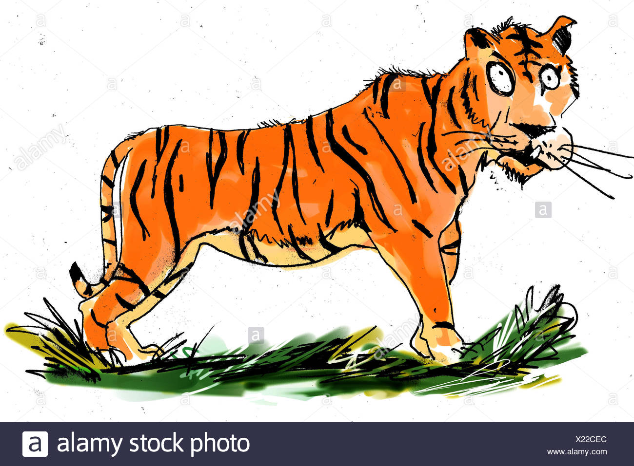 Grand Predateur Felin Chat Tigre Chat Dessin Strie Copie Image Photo Photo Photo Stock Alamy