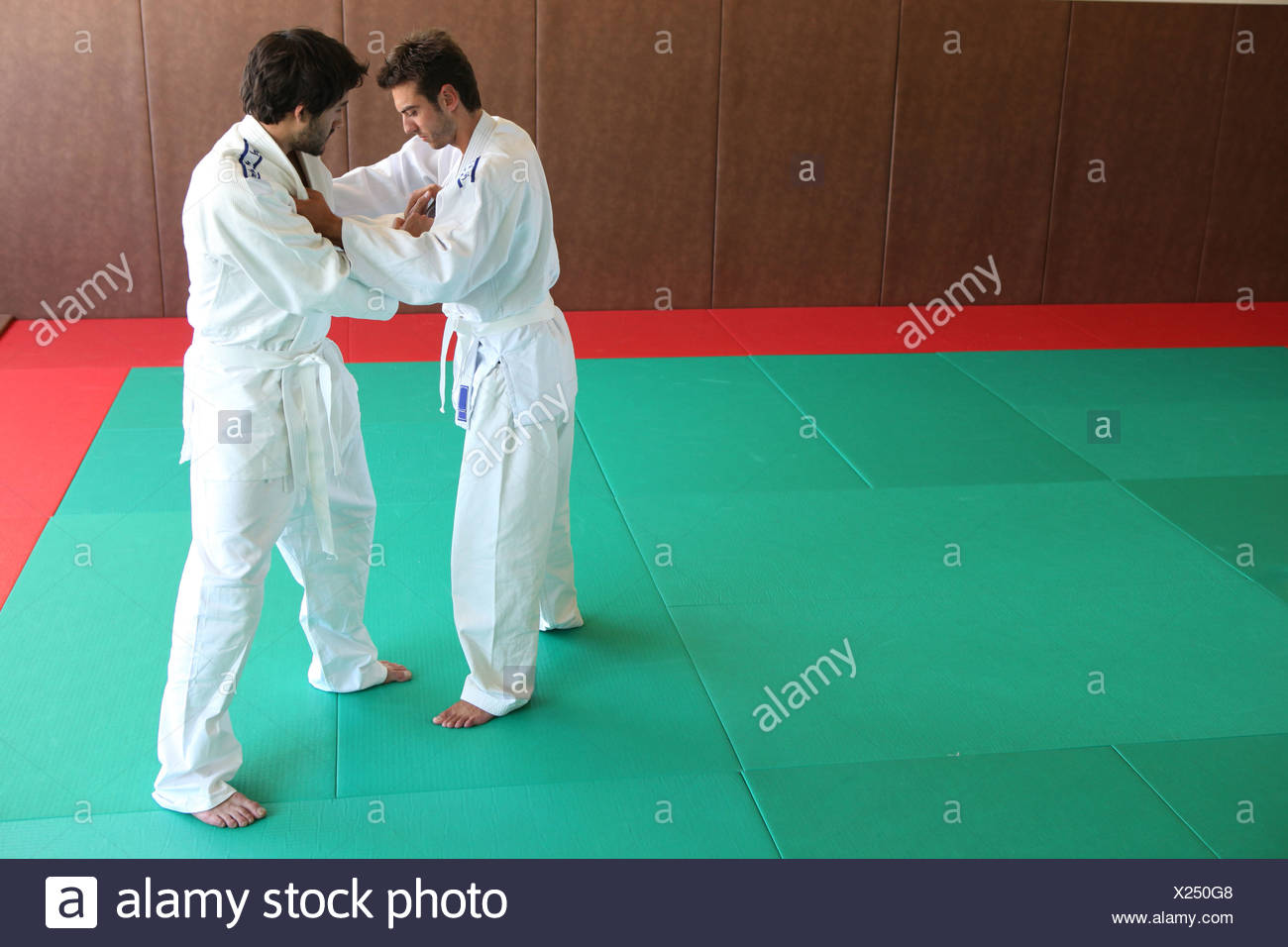 Prise De Judo Photo Stock Alamy