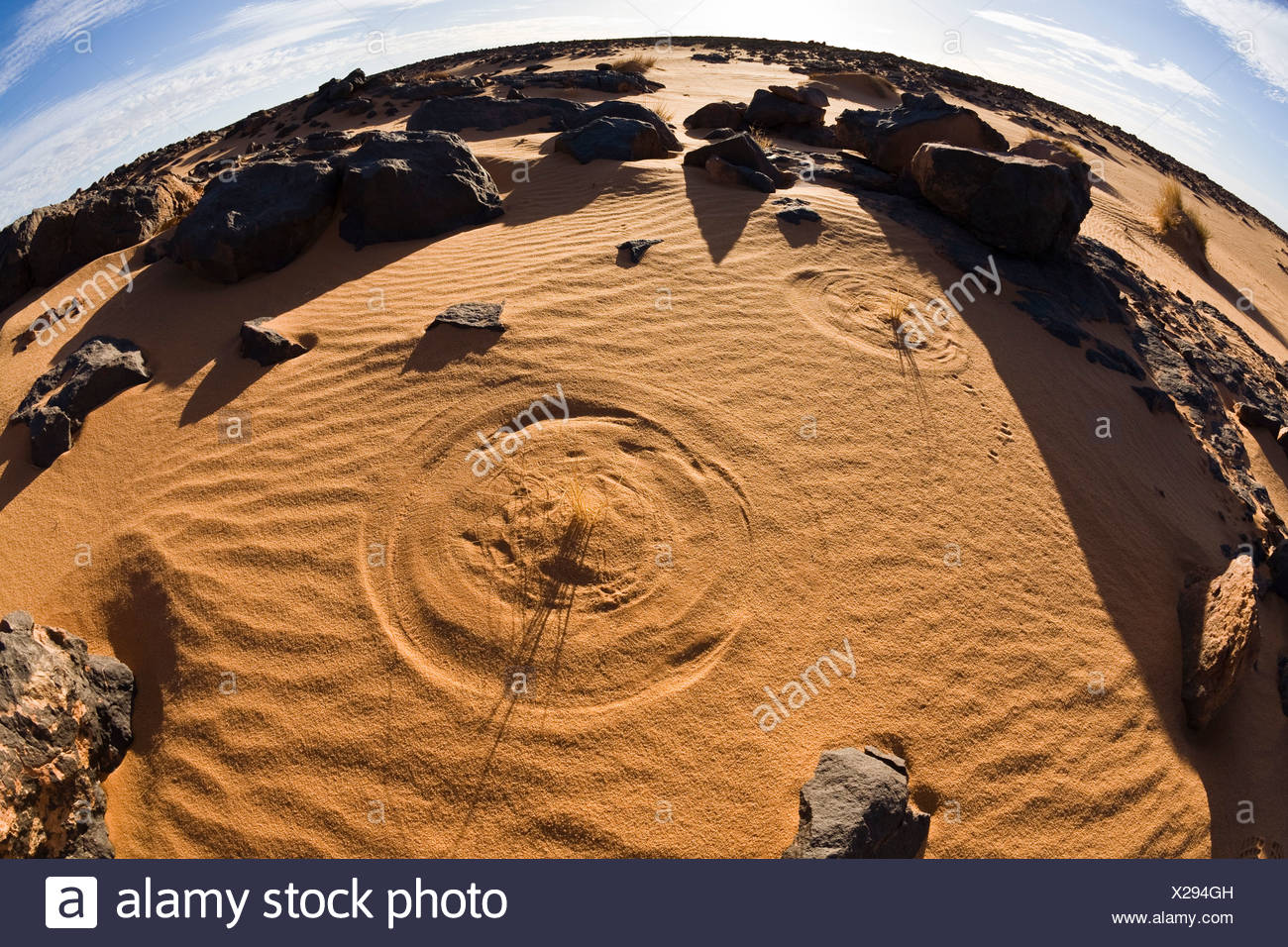 Brins d'herbe le dessin des cercles dans le sable, désert, désert de pierre noire, la Libye, l'Afrique Banque D'Images