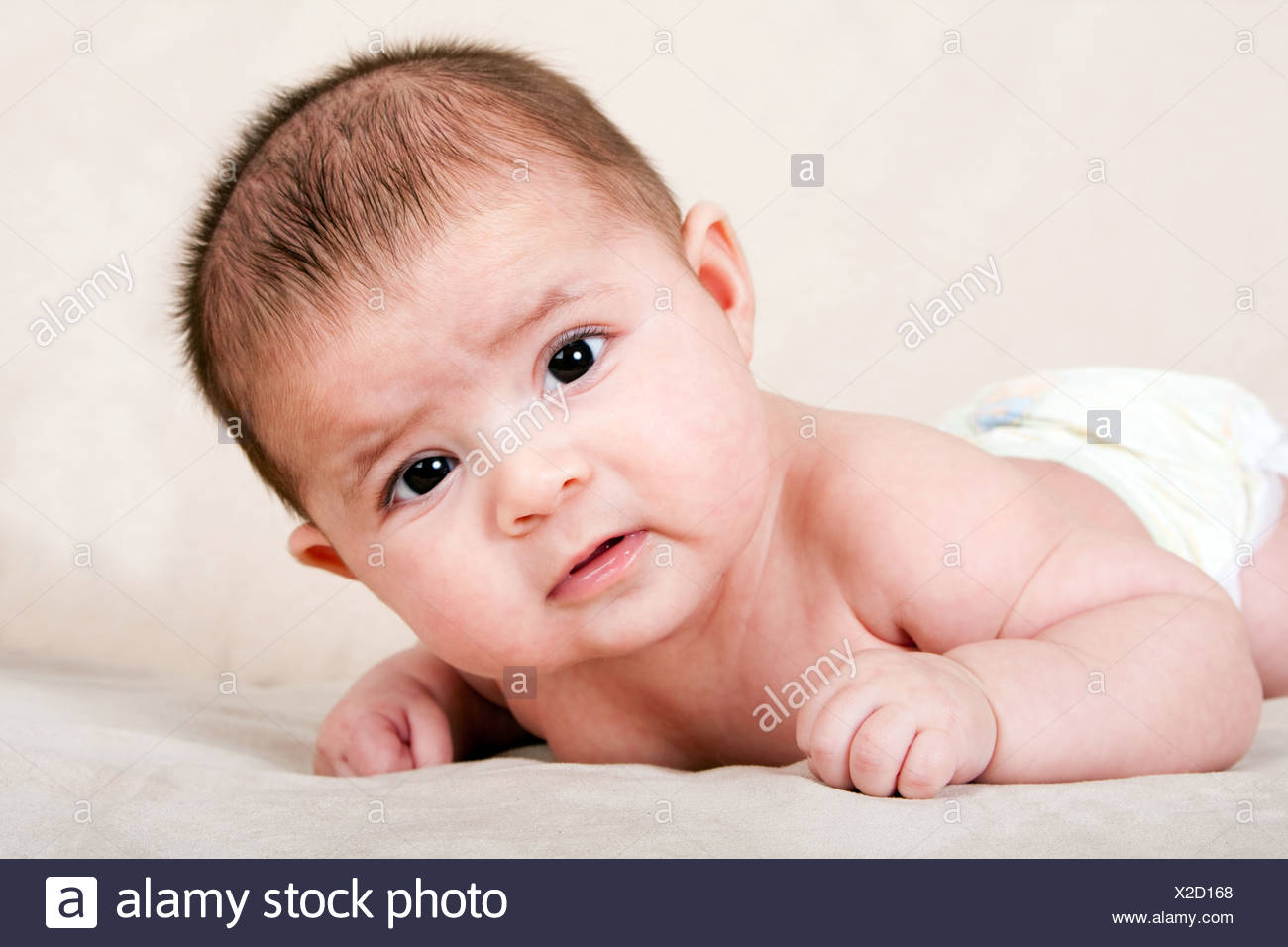 Cute Young Hispanic Baby Bebe Allonge Sur Le Ventre La Tete De Levage Making Expression Photo Stock Alamy Cute Young Hispanic Baby Bebe Allonge Sur Le Ventre La Tete De Levage Making Expression Photo Stock Alamy
