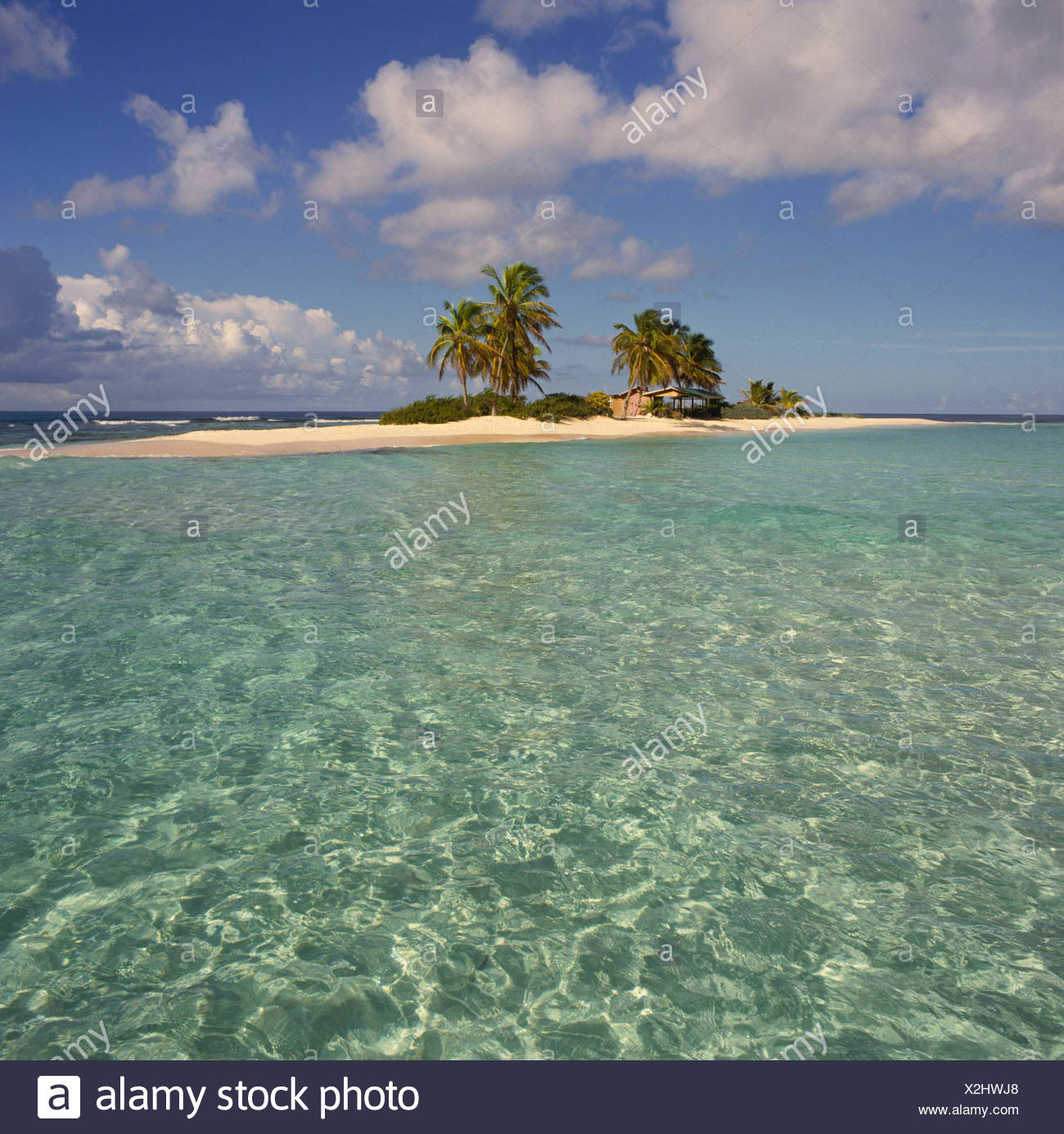 anguilla paysage