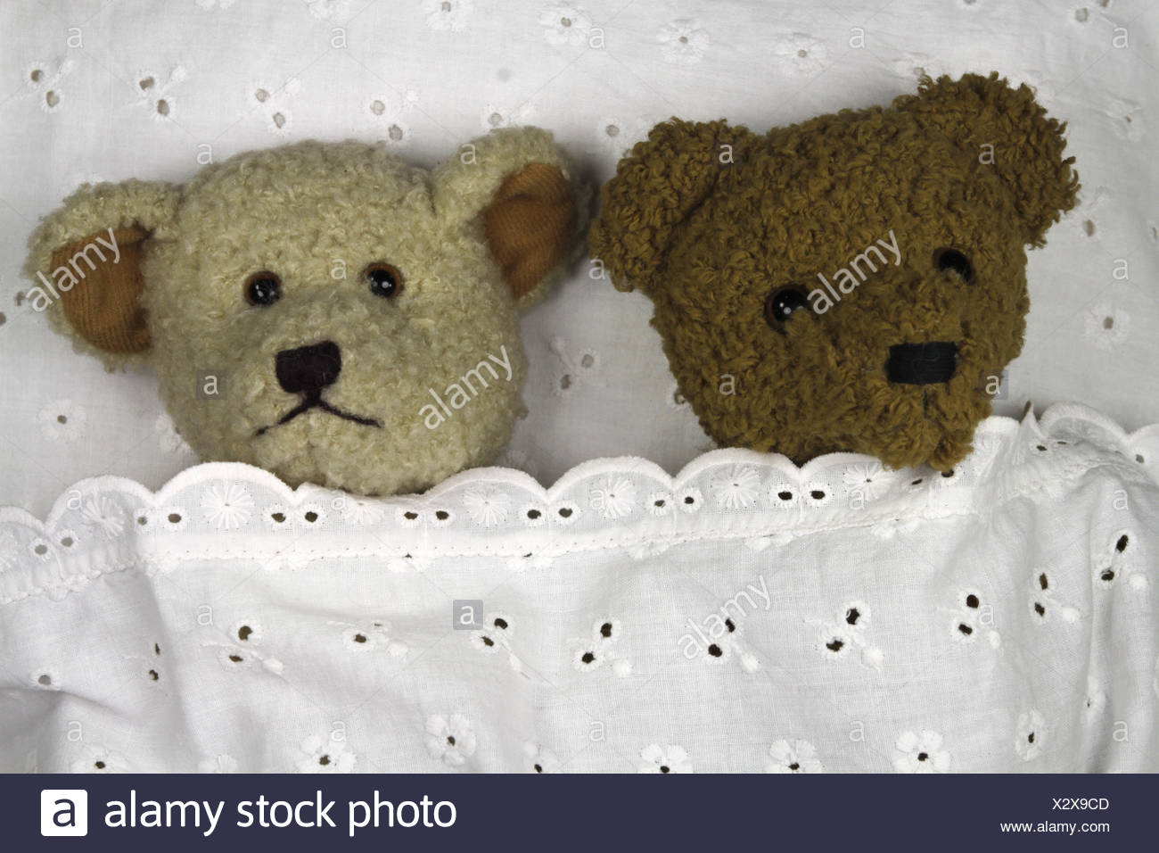Teddy Ours Nounours Calin Teddies Amitie Amis Bed Brown Brunette Brunatre Animal Sommeil Dormir Teddy Ours Photo Stock Alamy Teddy Ours Nounours Calin Teddies Amitie Amis Bed Brown Brunette Brunatre Animal Sommeil Dormir Teddy Ours Photo Stock Alamy