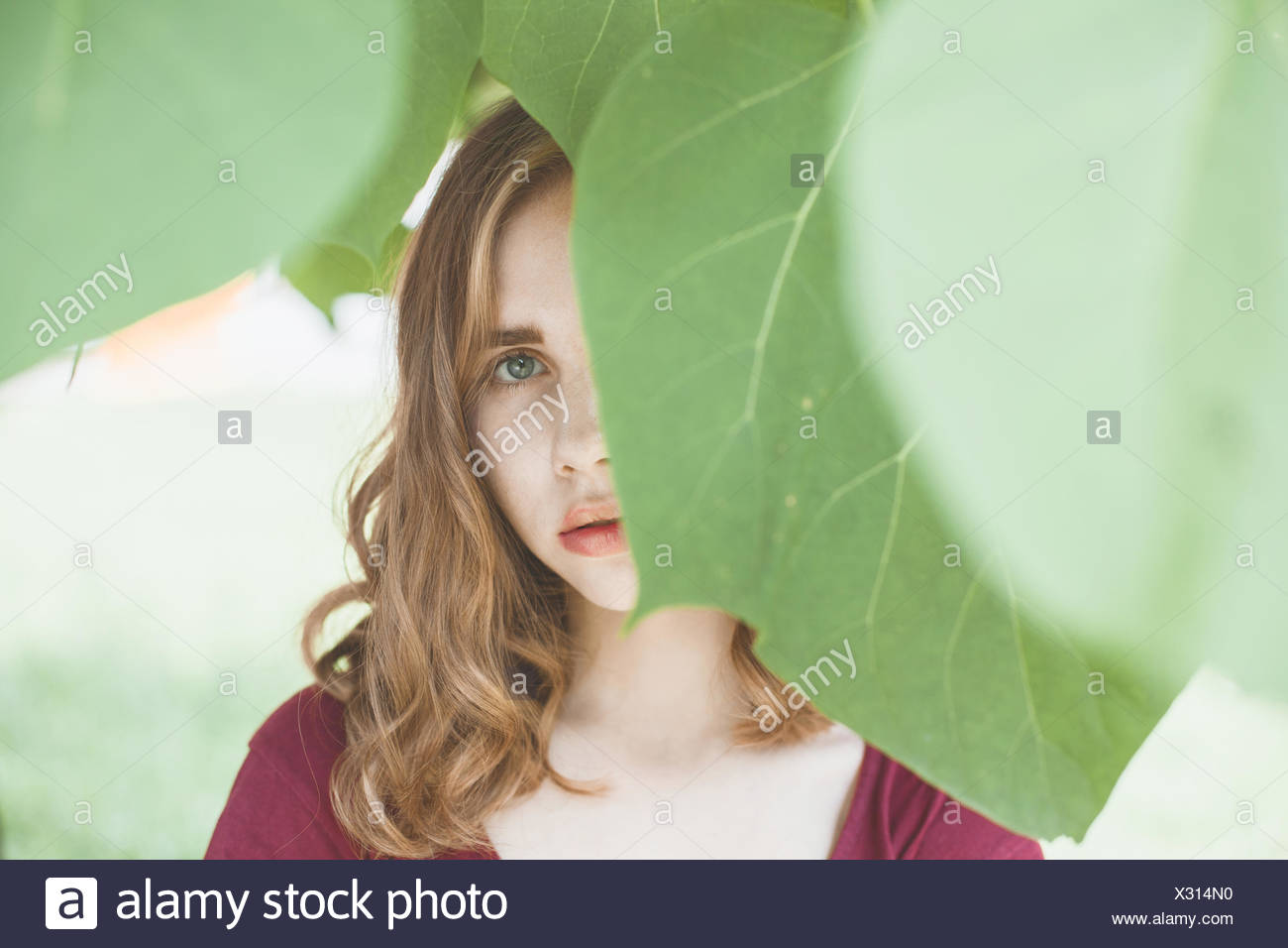 Portrait of a young woman with face cachée par des feuilles Banque D'Images