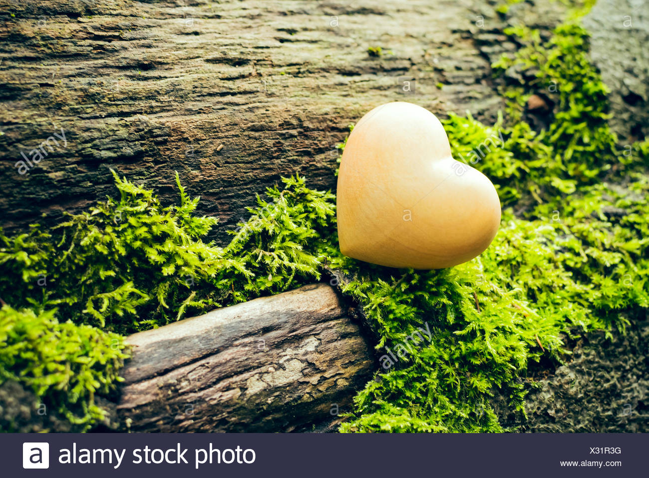 Amoureux De La Nature Photo Stock Alamy