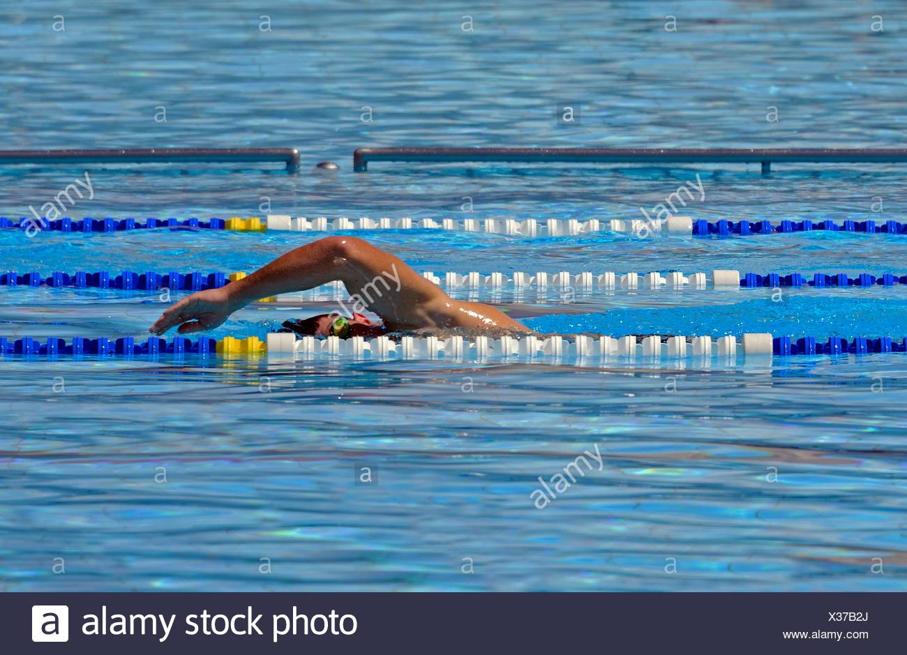 Seul Lhomme Natation Crawl Piscine Plage Geneve Genève
