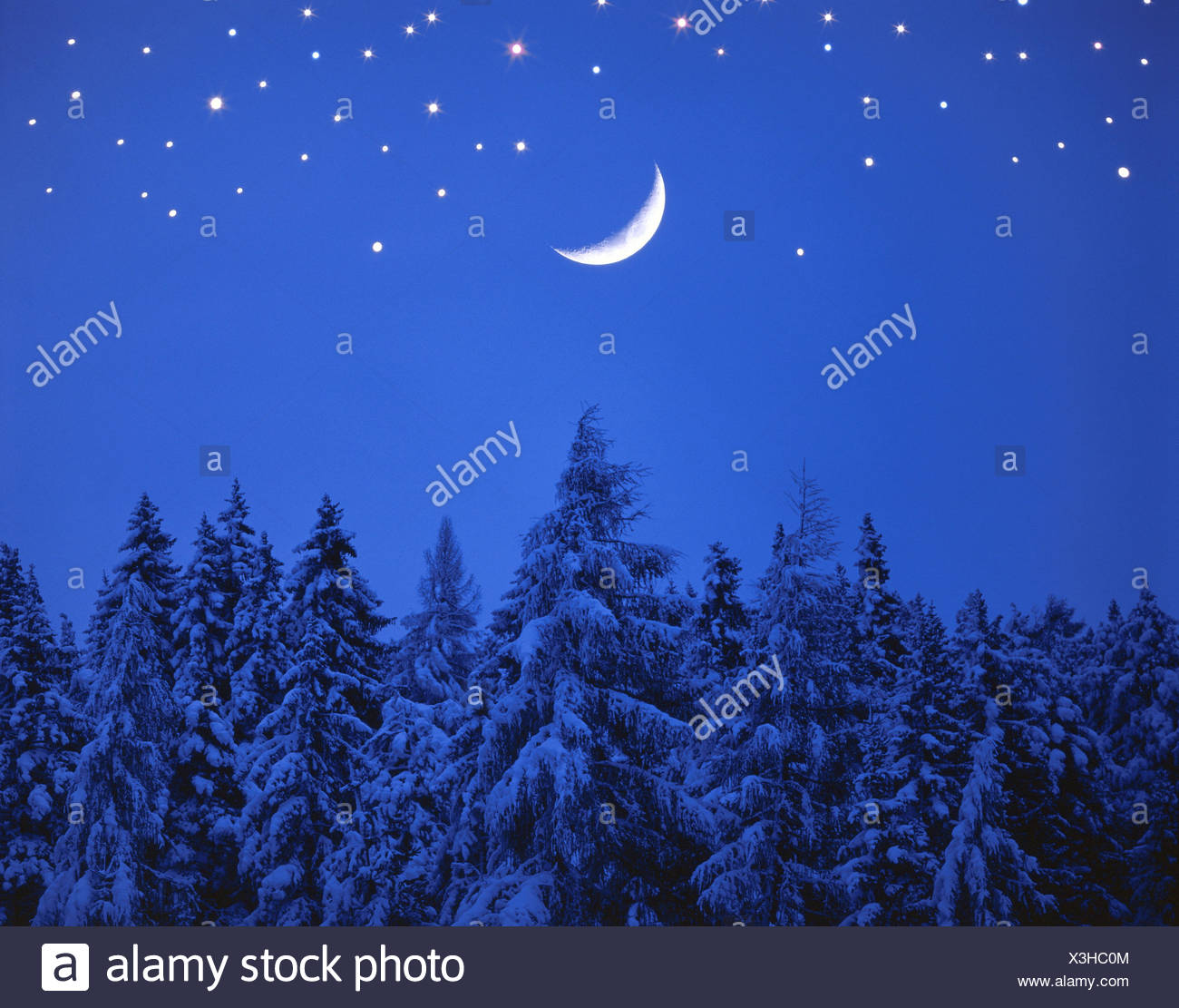 Bois Dhiver Ciel étoilé Crescent Nuit Neige Bois