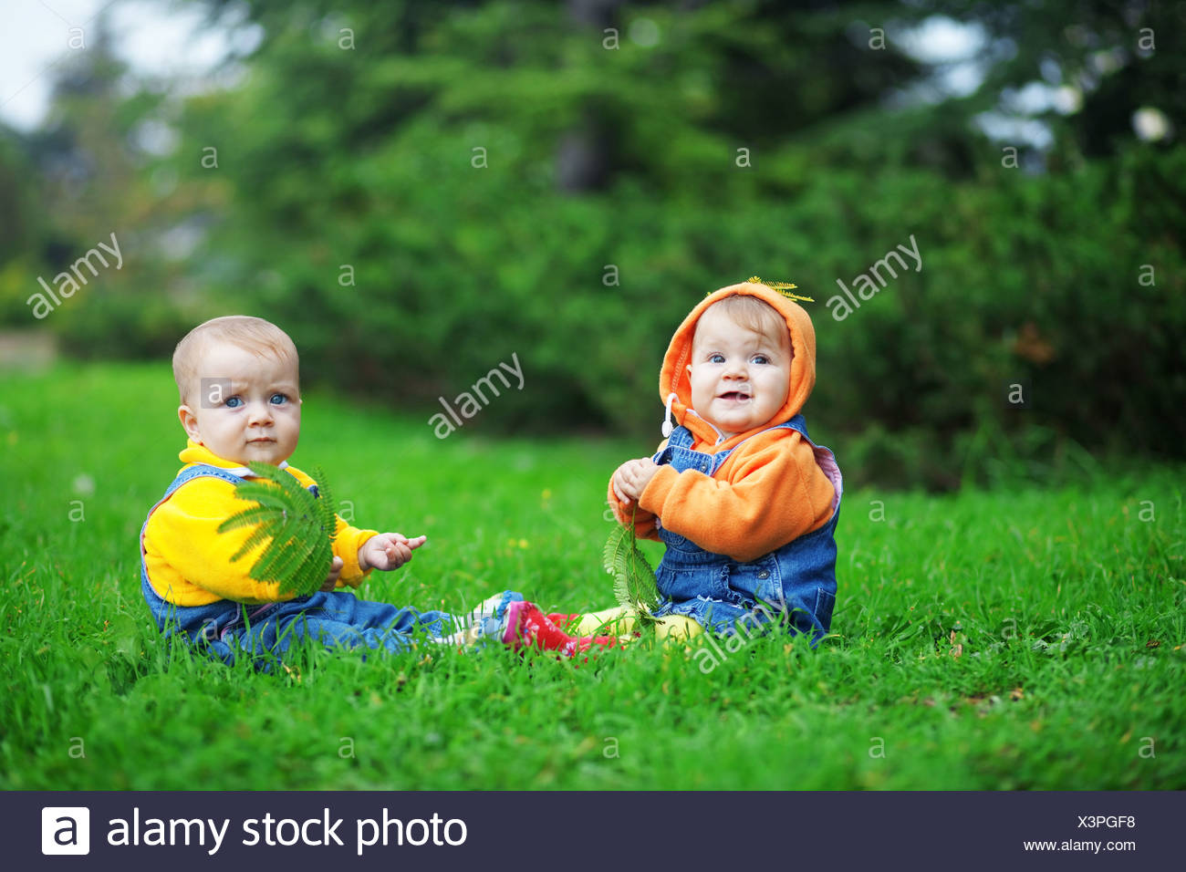 Bebes Jumeaux Mignon Assis Sur L Herbe Verte Fraiche Dans Park Photo Stock Alamy Bebes Jumeaux Mignon Assis Sur L Herbe Verte Fraiche Dans Park Photo Stock Alamy