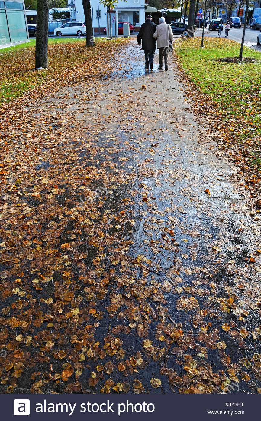 Feuillage automne humide sur un trottoir, Munich, Bavière Banque D'Images