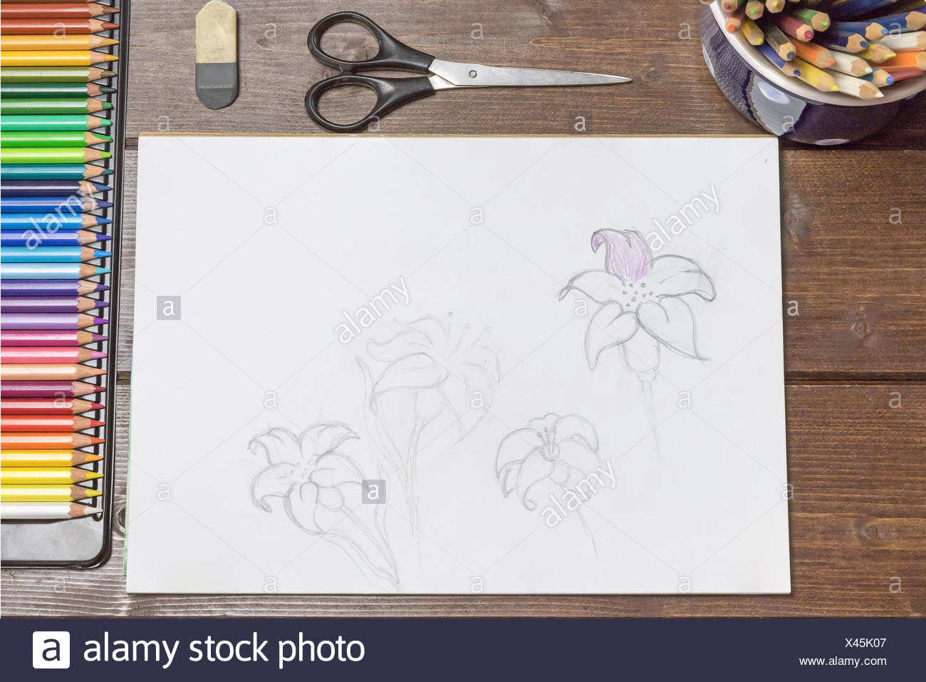 Fournitures De Dessin Papier Dessin Animé Avec Des Fleurs