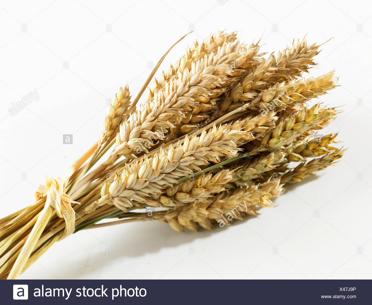 Epis De Ble Photo Stock Alamy