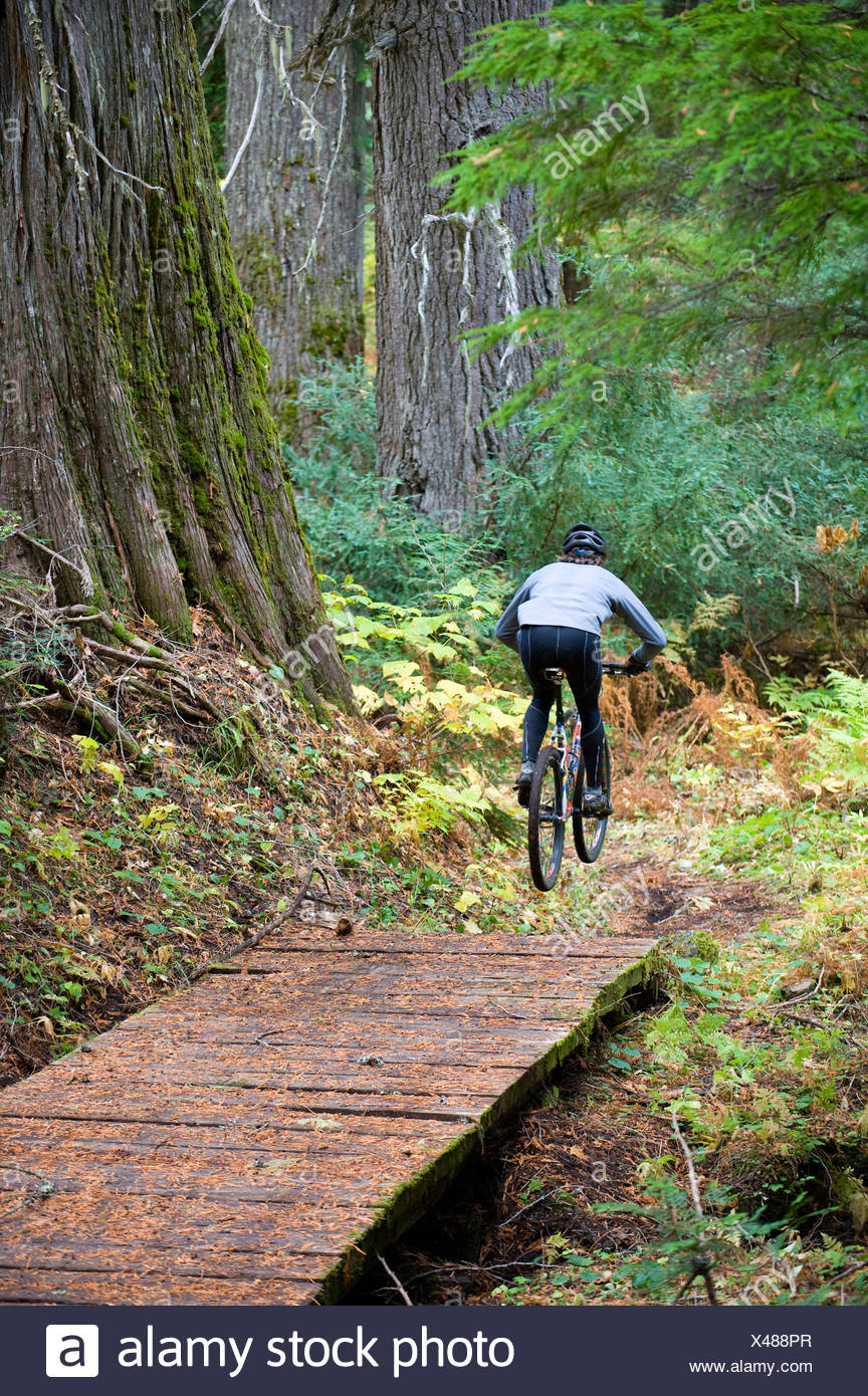 Un vélo de montagne s'envole un petit pont tout en montant un sentier à travers les arbres de cèdre géant dans le nord de l'Idaho. Banque D'Images