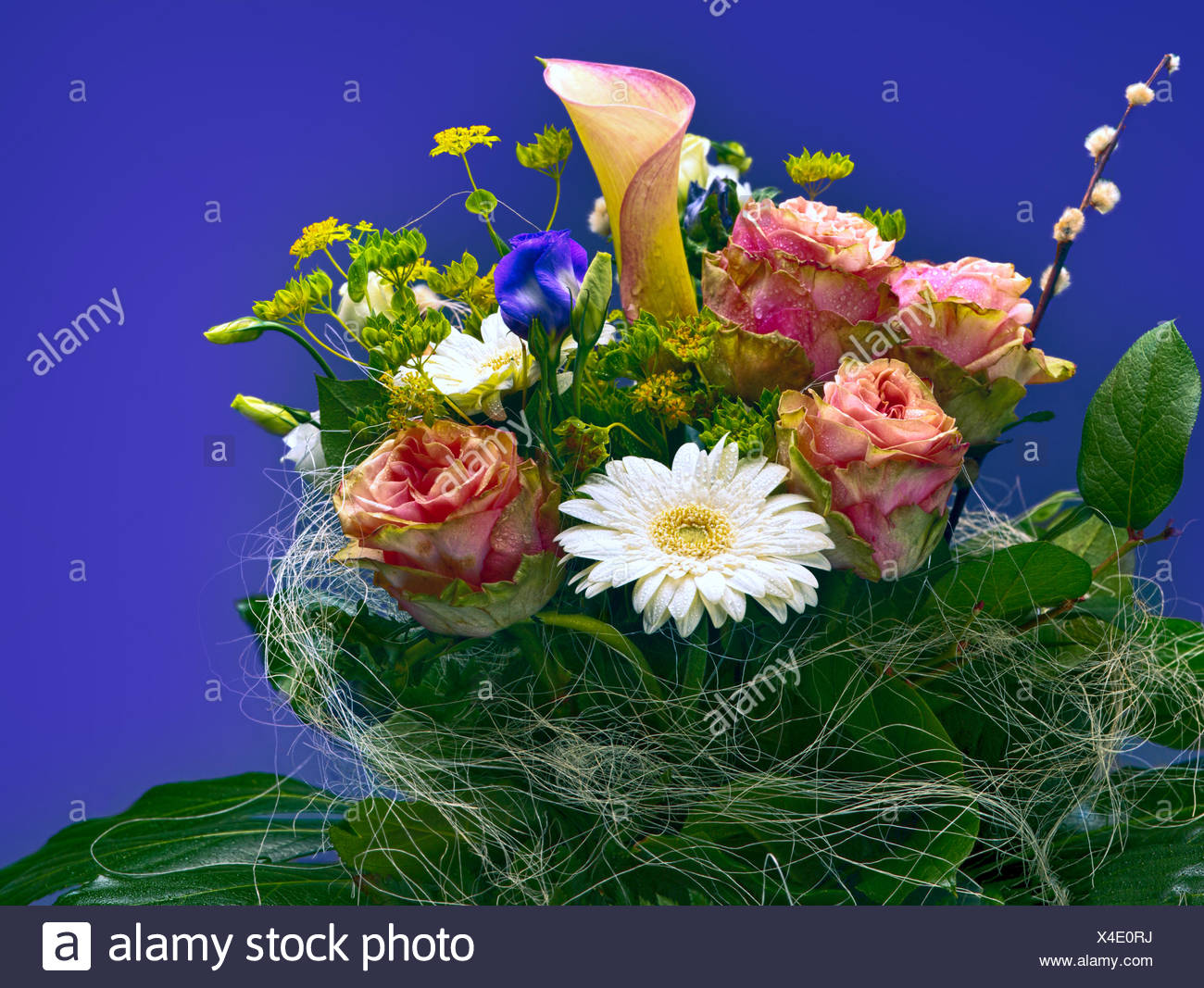 Magnifique Bouquet De Fleurs Lumineuses Banque Dimages