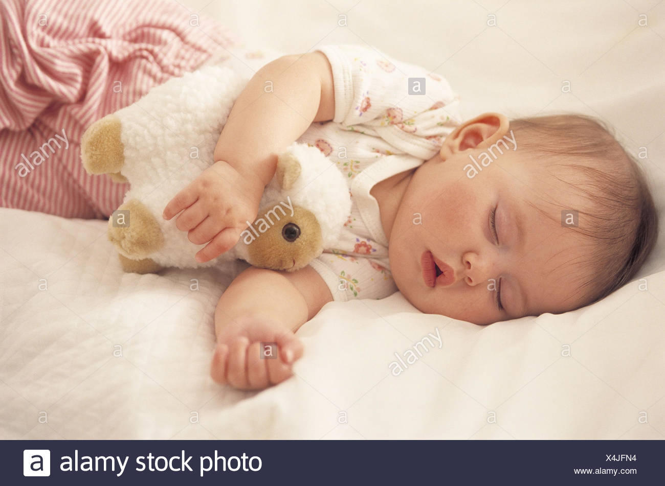 Bebe 5 Mois Le Sommeil L Attente Soft Toy Couche Bebe Enfant Lit Fatigue Lassitude Sommeil Paisiblement Est Relaxant D Expression D Innocence L Animal Doux L Agneau De Securite De Se Sentir Bien Etre Photo Stock Bebe 5 Mois Le Sommeil L Attente Soft Toy Couche Bebe Enfant Lit Fatigue Lassitude Sommeil Paisiblement Est Relaxant D Expression D Innocence L Animal Doux L Agneau De Securite De Se Sentir Bien Etre Photo Stock