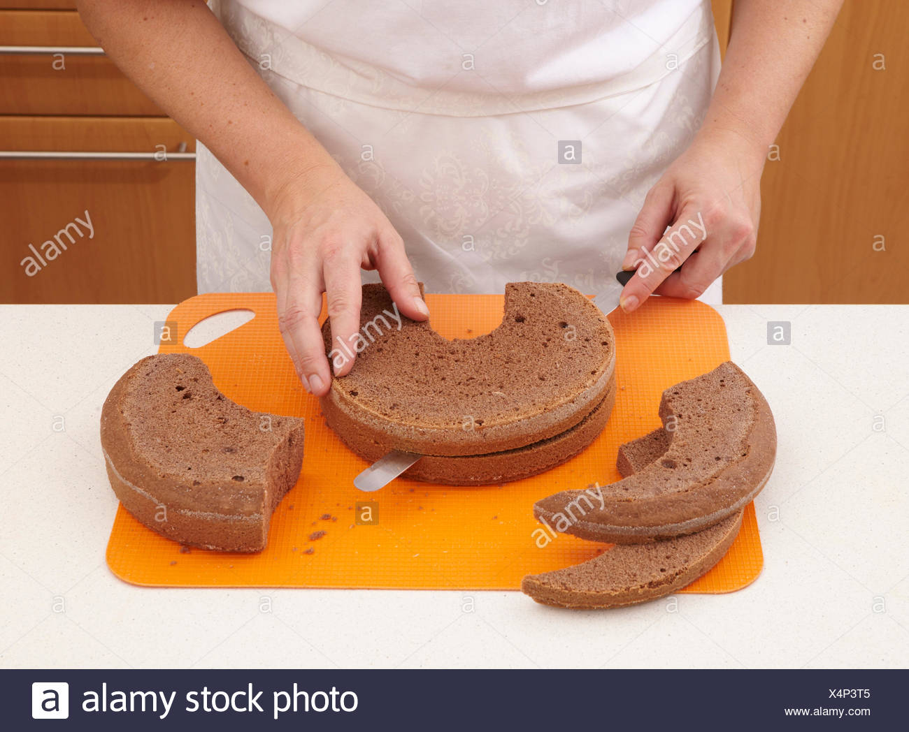 Gateau Dinosaure Etapes Photo Stock Alamy