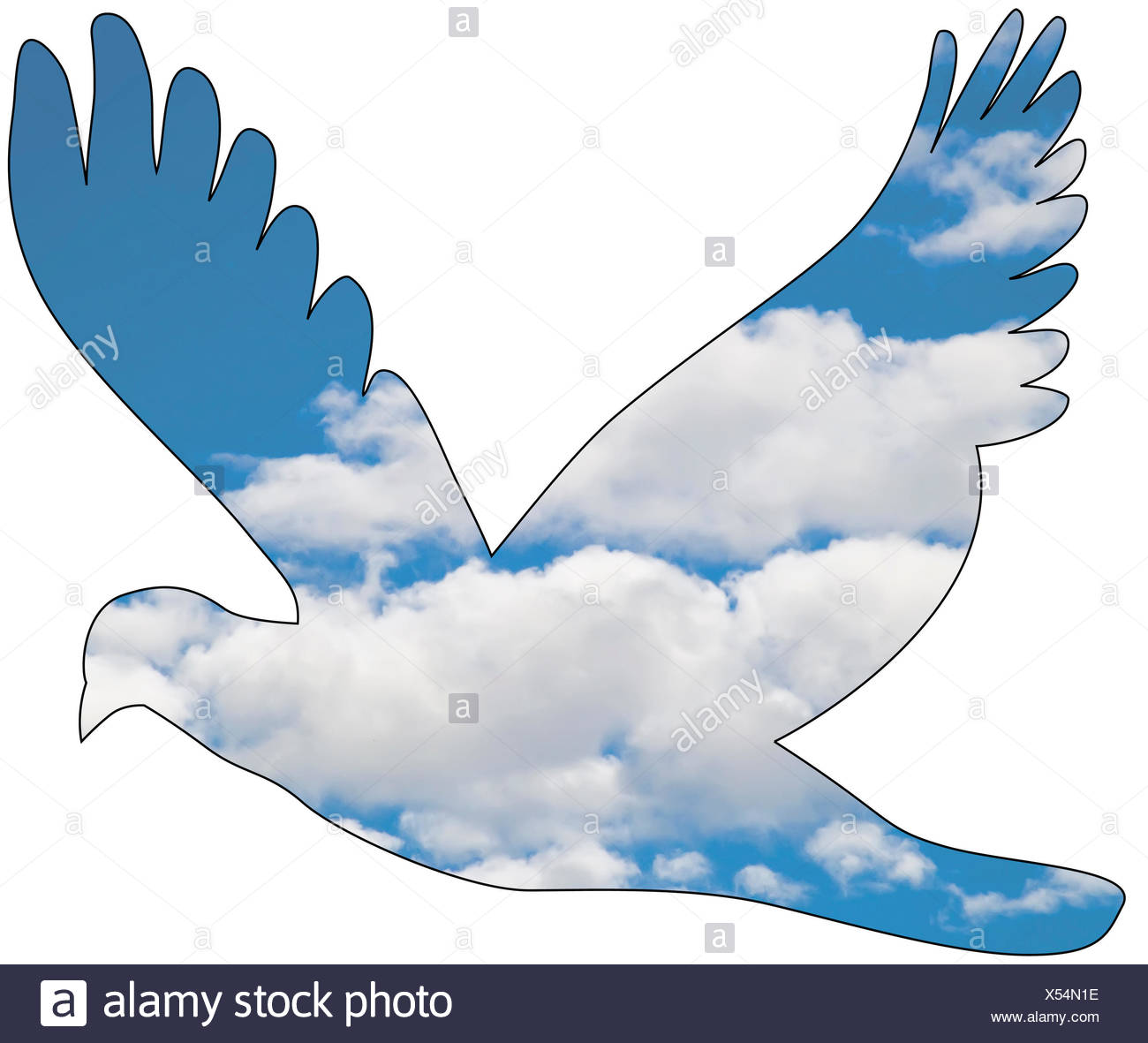 En Option En Option Les Nuages Bleu Pigeon Oiseaux Oiseaux