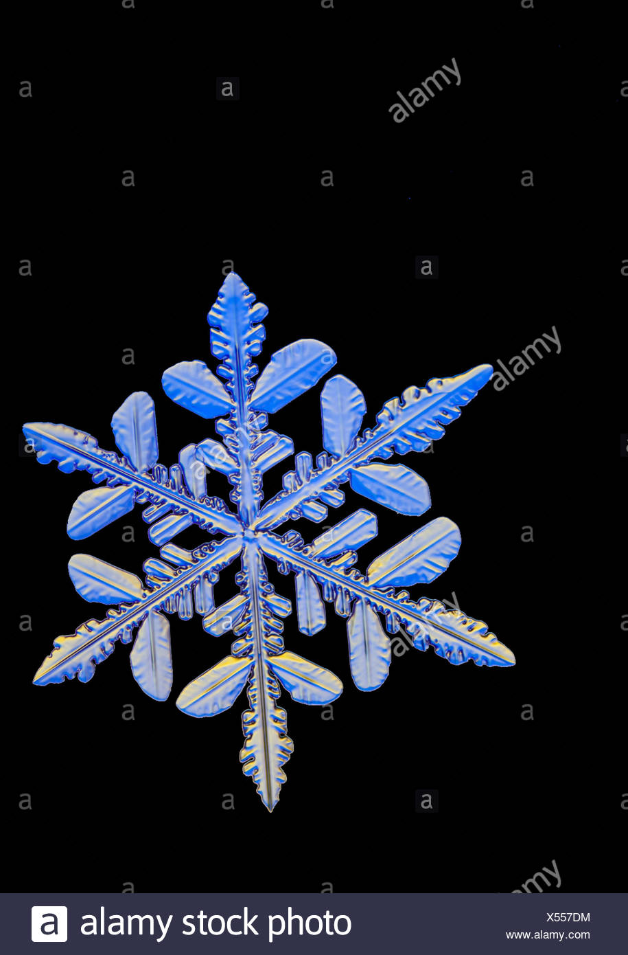 Vue Au Microscope Photo D Un Flocon De Neige Avec Une Forme D Etoile Photo Stock Alamy