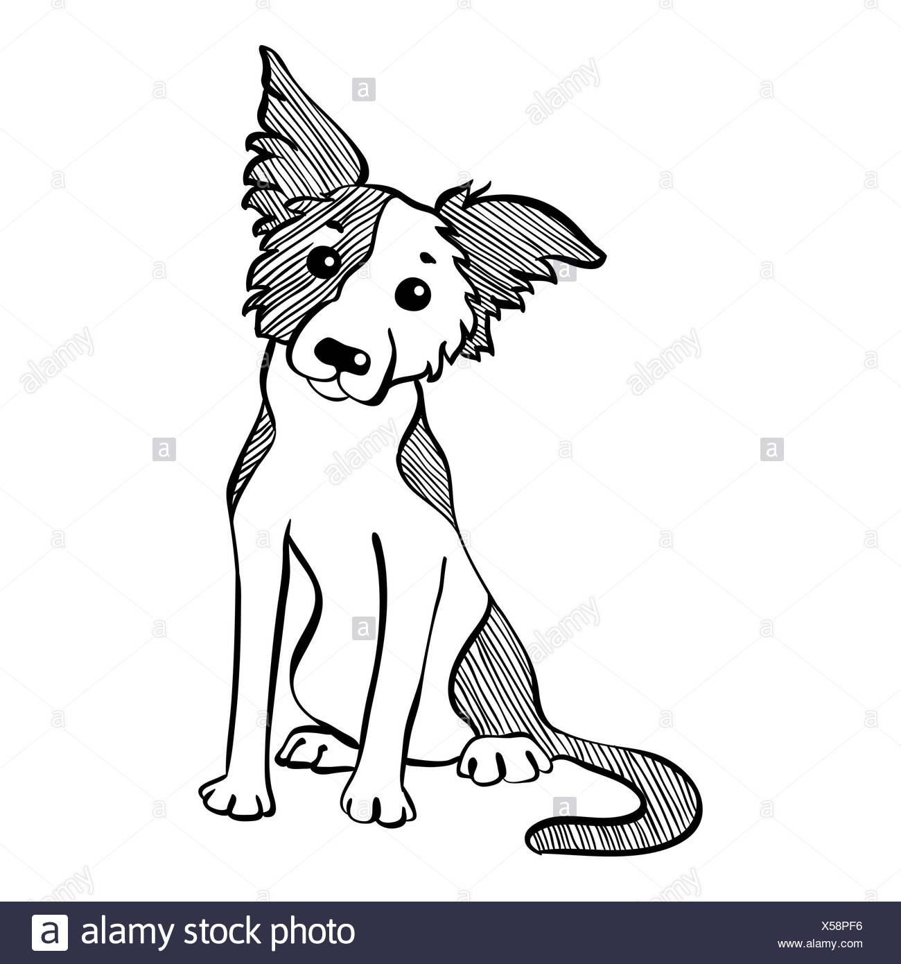 Dessin Vectoriel Funny Border Collie Dog Sitting Banque D