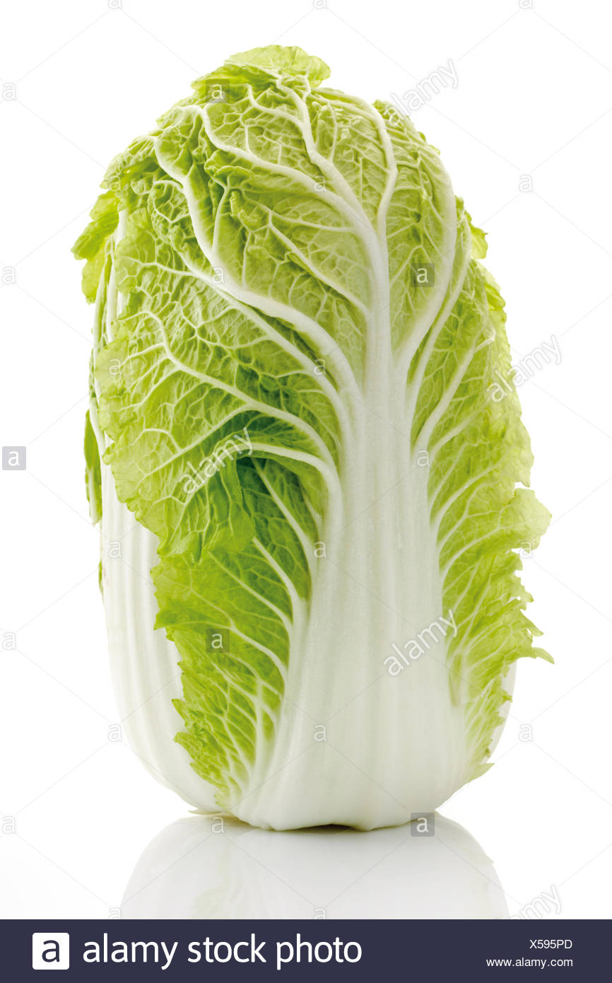 Le Chou Blanc Chinois Photo Stock Alamy