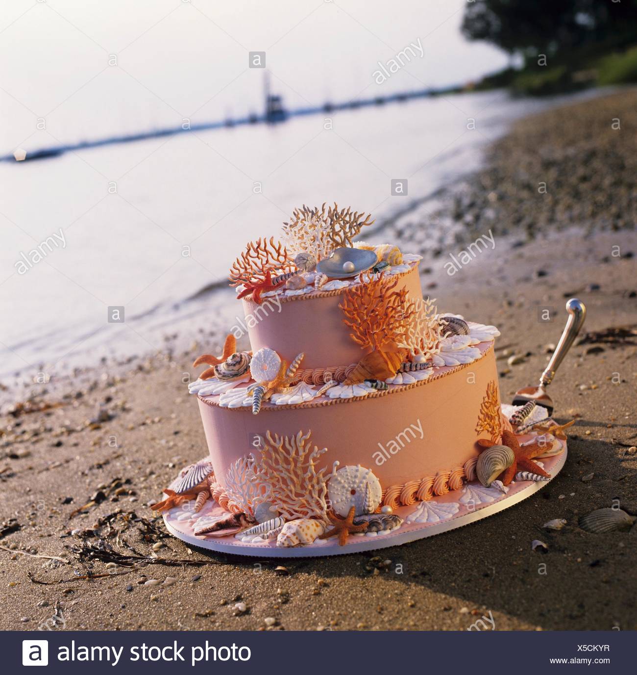 Download Plage gateau a theme Free HD