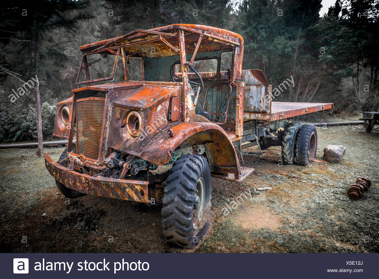 Vieille voiture rouillée en forêt, Inangahua, Région de la côte ouest, Southland, Nouvelle-Zélande Banque D'Images