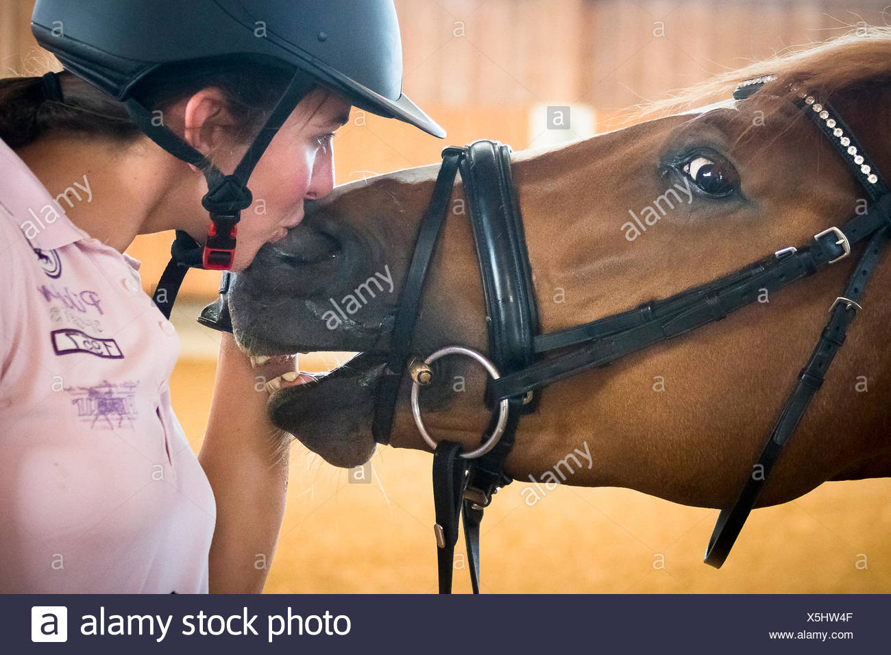 Warmblood. Rider Lisa Mueller le ponçage avec cheval alezan. Allemagne Banque D'Images