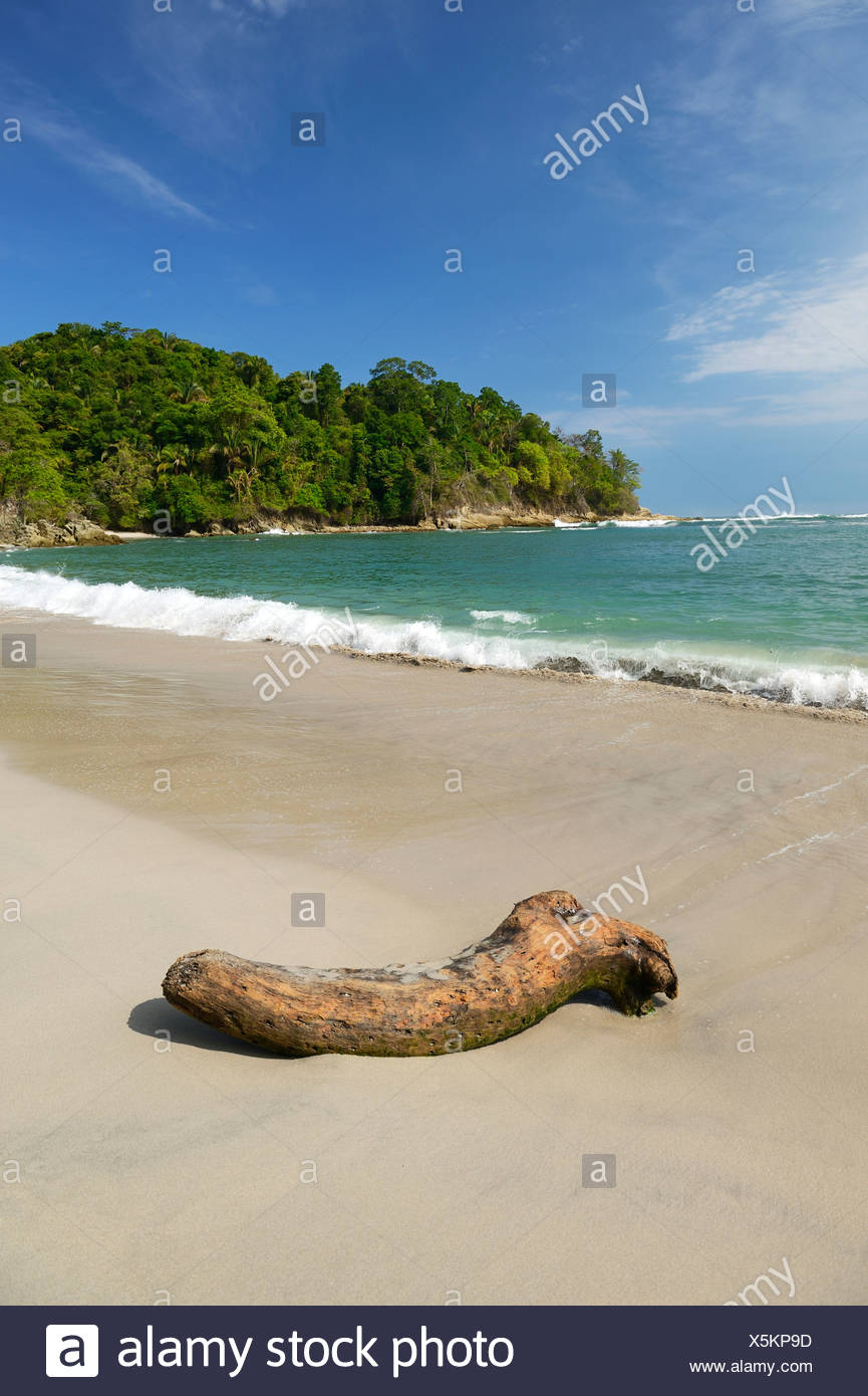 Plage De Sable Blanc Parc National Manuel Antonio Central
