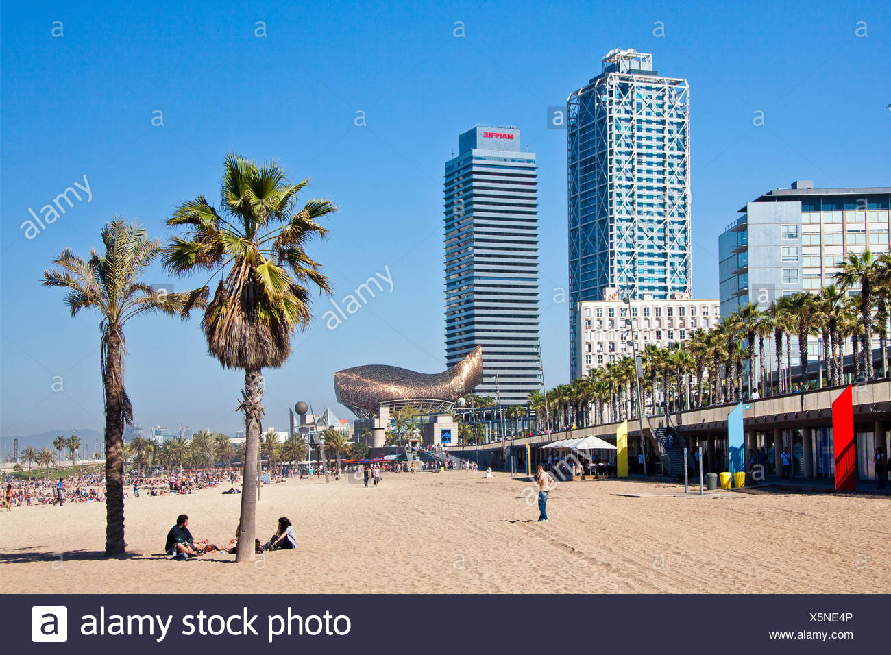 Lespagne Leurope Catalunya Barcelone Barceloneta La