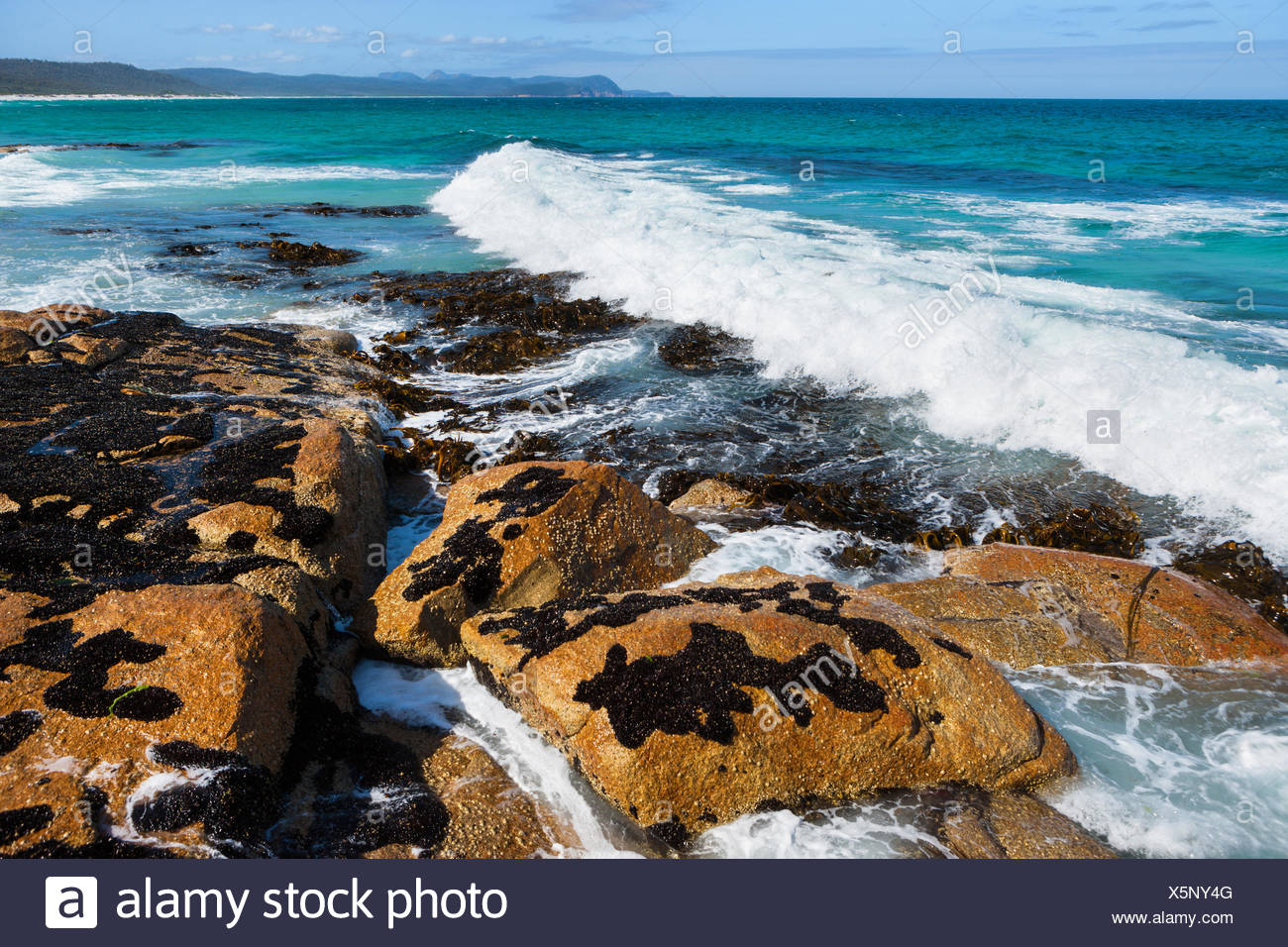Plages, l'Australie, la Tasmanie, sur la côte est, dans la mer, côte, vagues, rochers, falaises, Banque D'Images