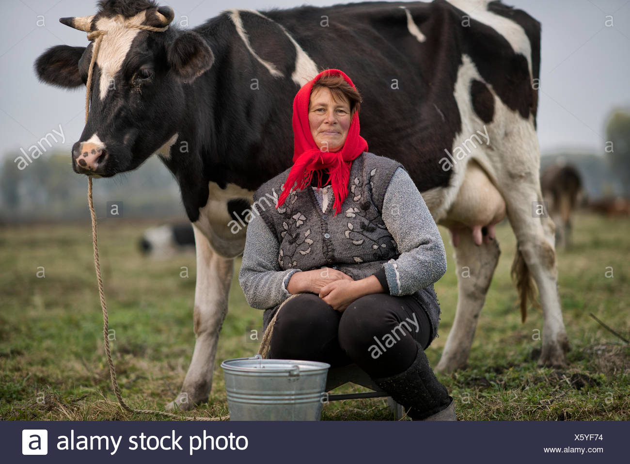 Women being milked like a cow