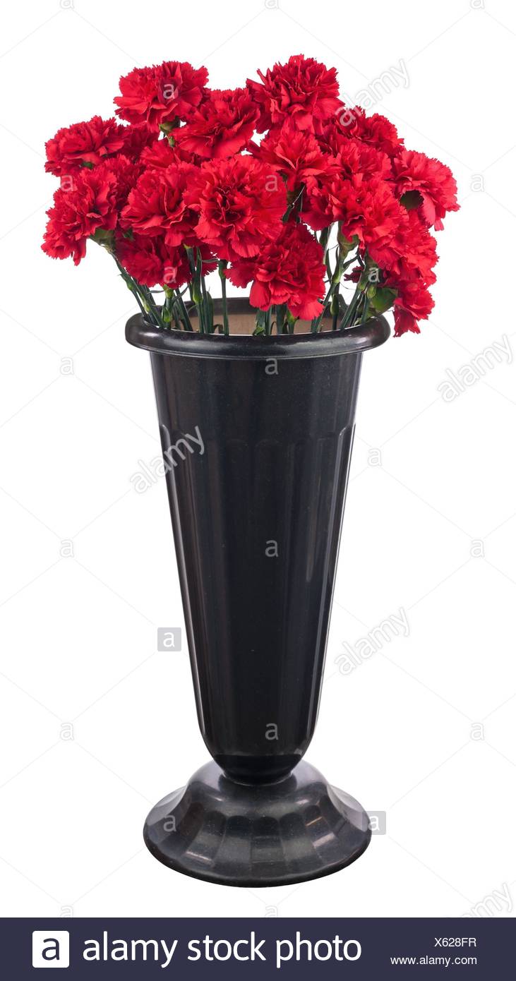 Bouquet De Fleurs Doeillet Rouge Iin Casserole Noir Isolé