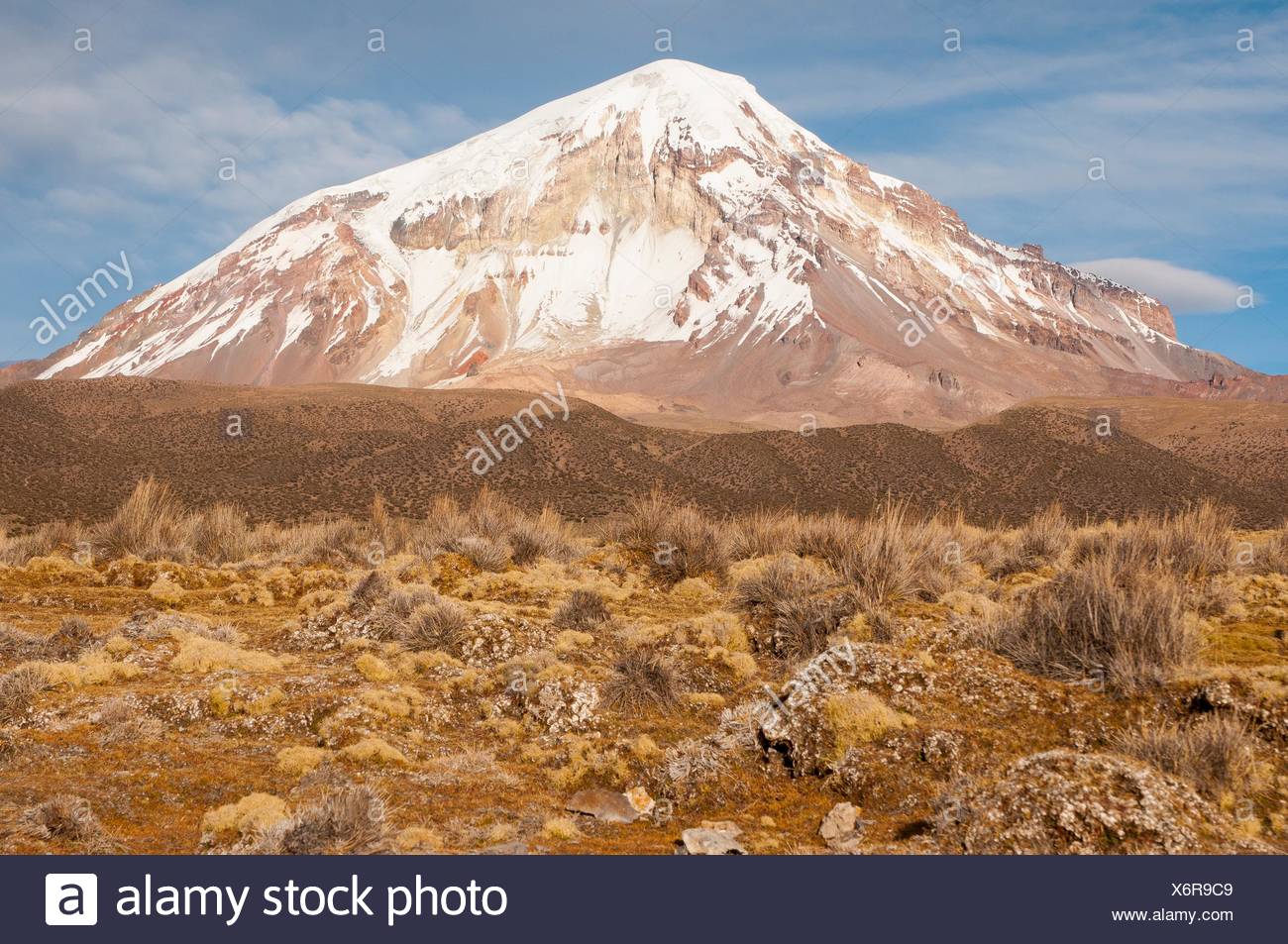 Volcan Sajama La Plus Haute Montagne De Bolivie Le Parc