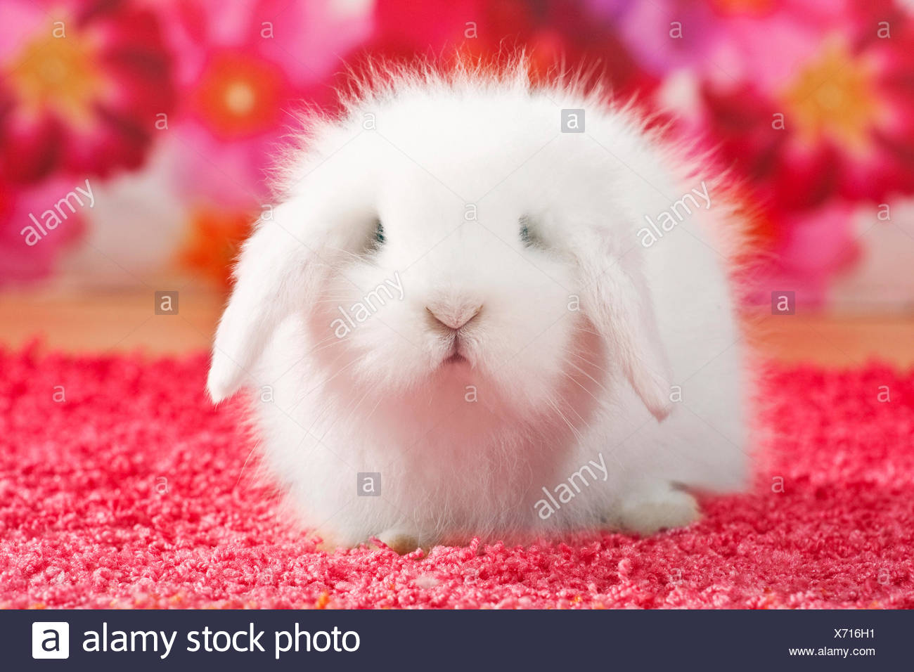 peluche lapin belier