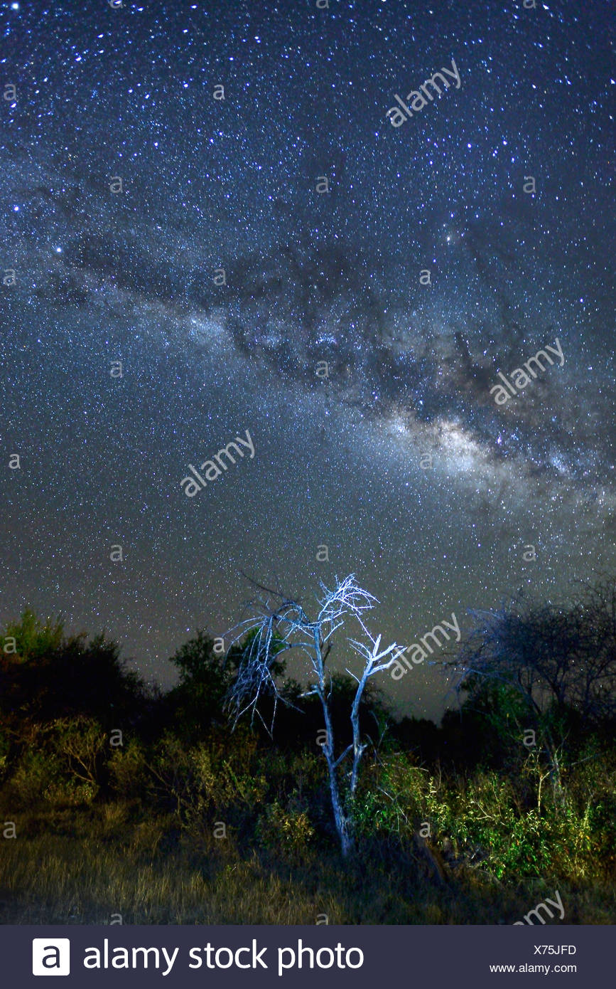 L Afrique La Namibie Fiume Lodge Ciel De Nuit Les Etoiles Le Desert Sky Astro Photographie Bloomfontein Ciel Etoile Ciel Ciel Etoile Photo Stock Alamy L Afrique La Namibie Fiume Lodge Ciel De Nuit Les Etoiles Le Desert Sky Astro Photographie Bloomfontein Ciel Etoile Ciel Ciel Etoile Photo Stock Alamy
