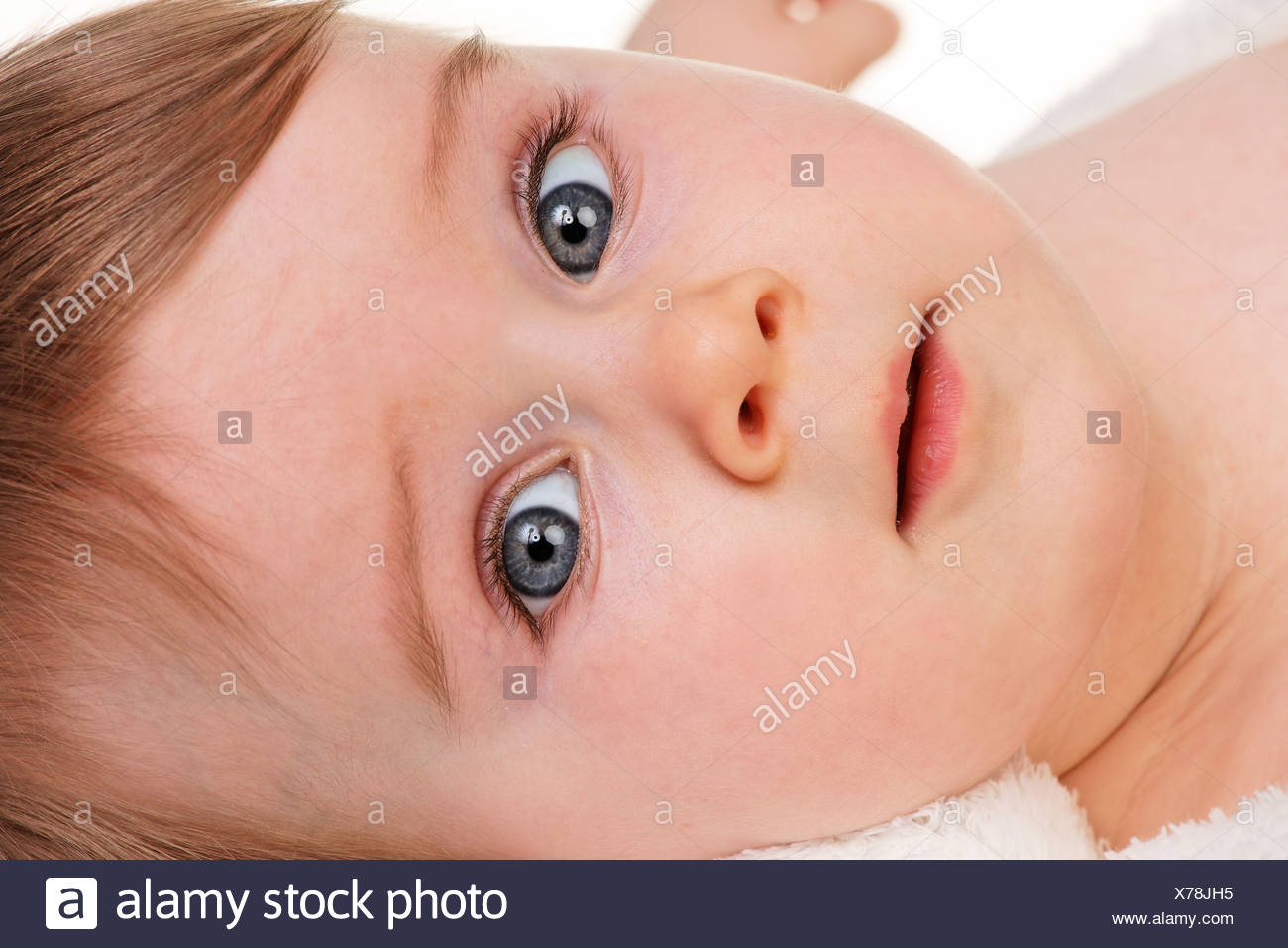 Tete Portrait D Un Tout Petit Bebe Avec De Grands Yeux Photo Stock Alamy Tete Portrait D Un Tout Petit Bebe Avec De Grands Yeux Photo Stock Alamy