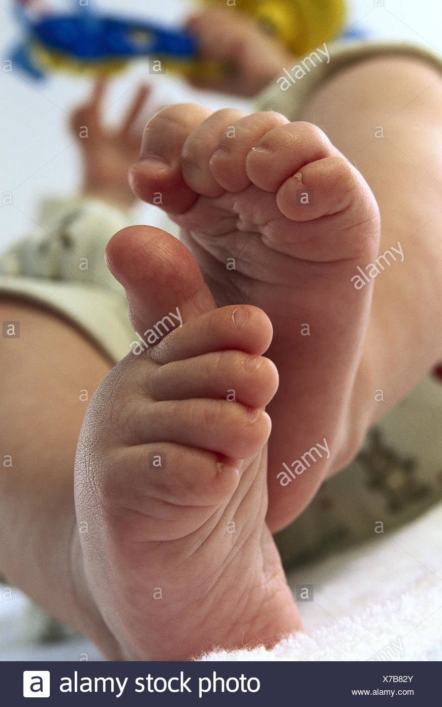 Pieds De Bebe Pieds Nus La Plante Tres Proche A L Interieur A La Maison Bebe Enfant Nourrisson En Position Arriere Mensonge Les Pieds Les Petites Pieces Le Corps Les Membres Les Orteils Pieds De Bebe Pieds Nus La Plante Tres Proche A L Interieur A La Maison Bebe Enfant Nourrisson En Position Arriere Mensonge Les Pieds Les Petites Pieces Le Corps Les Membres Les Orteils