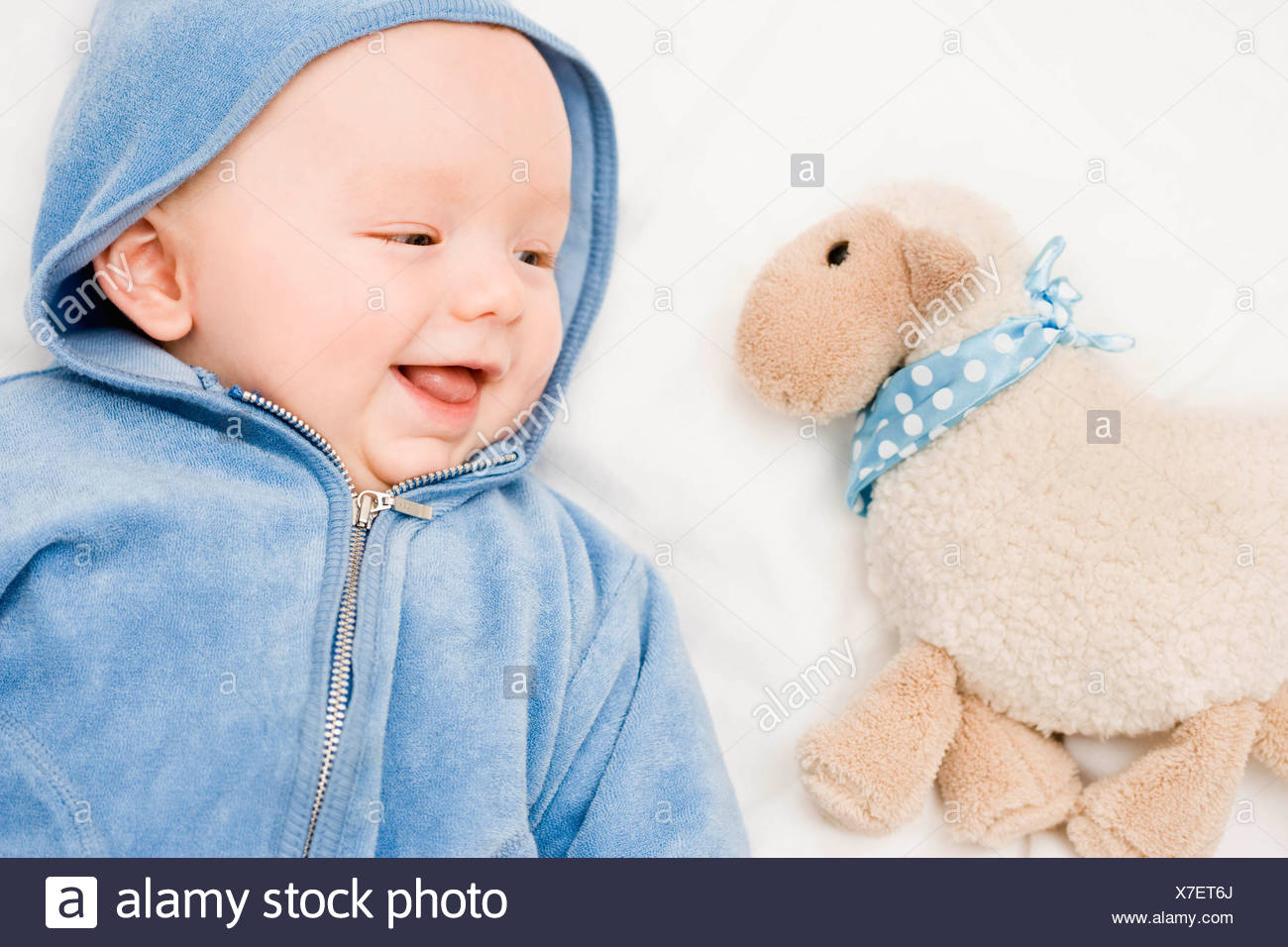 Mouton Qui Rit Banque D Image Et Photos Alamy Mouton Qui Rit Banque D Image Et Photos Alamy