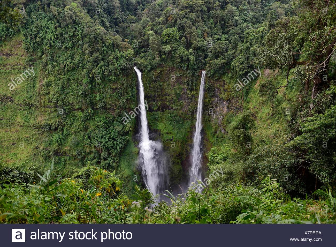 Cascade de Tad Fane,Plateau des Bolavens,Pakse Laos,,Asie du sud-est. Banque D'Images
