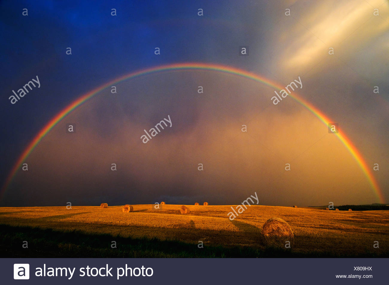 Agriculture - un arc-en-ciel et nuages de tempête au-dessus d'un champ de blé ronde bottes de paille / près de Cypress River, Manitoba, Canada. Banque D'Images