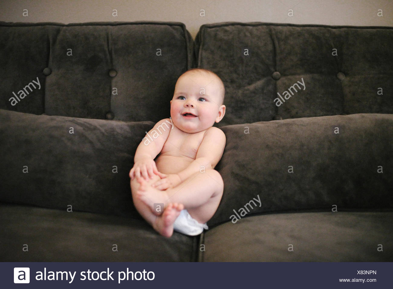 Un Bebe Assis Cale Sur Un Canape Porter Une Couche Photo Stock Alamy Un Bebe Assis Cale Sur Un Canape Porter Une Couche Photo Stock Alamy