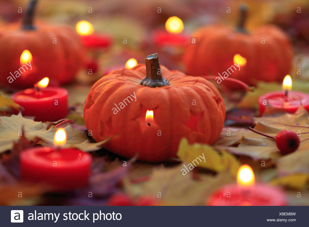 Lérable Feuille Feuilles Décoration Détail Halloween