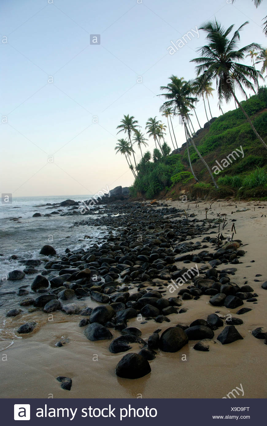 Des Pierres Sur Une Plage Des Palmiers Près De Talalla