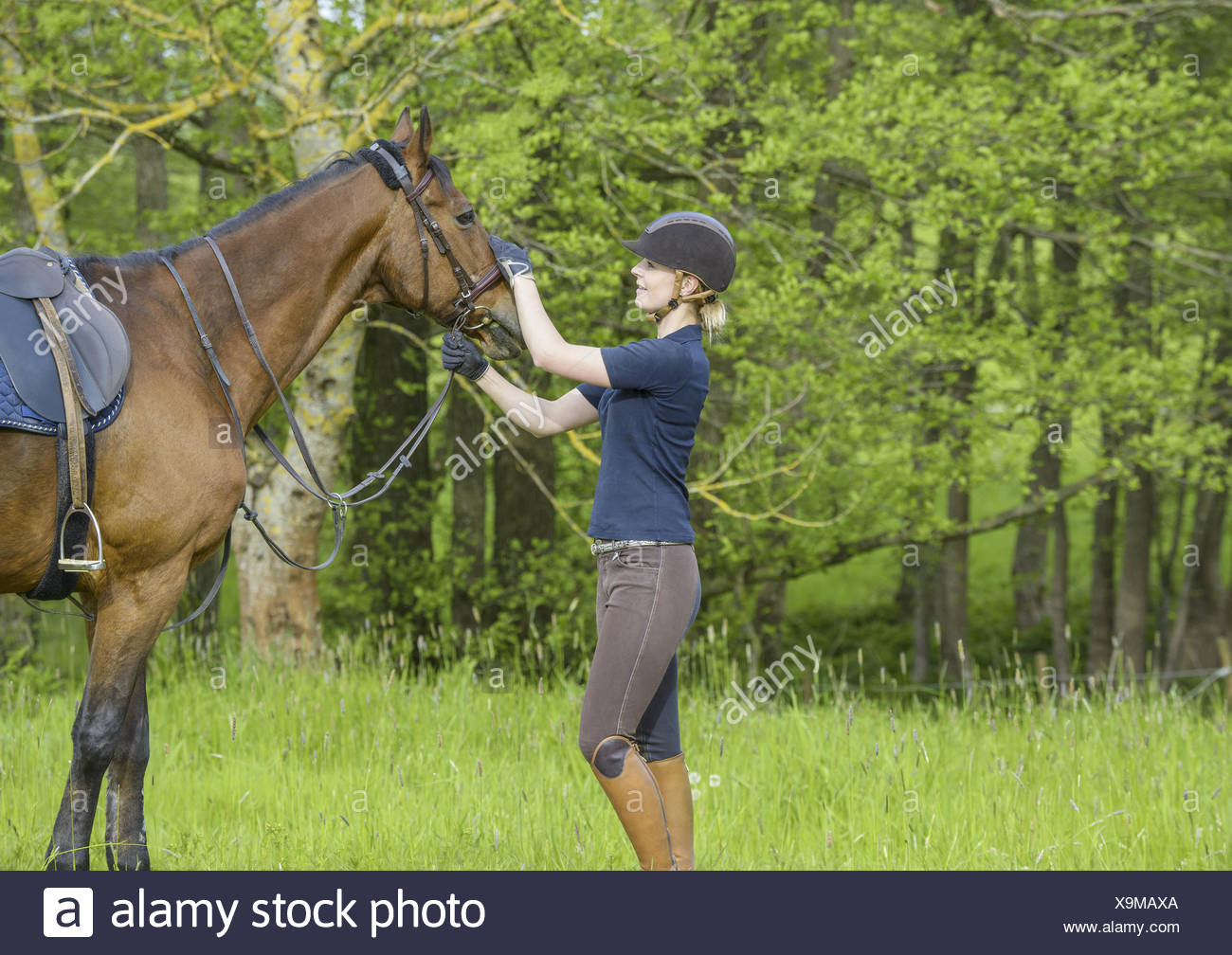 Frau Und Pferd Banque D Image Et Photos Alamy