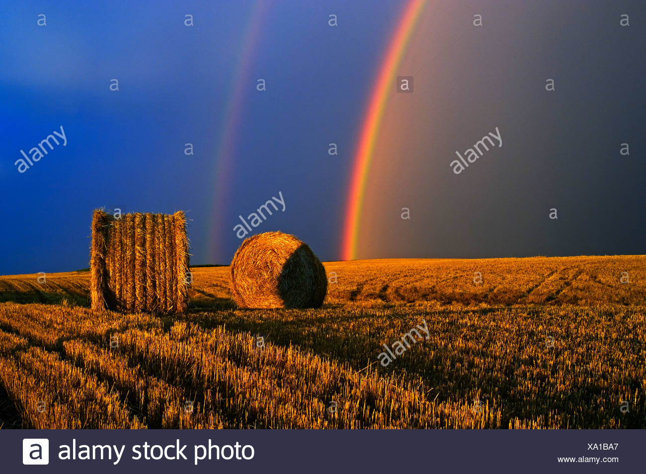 Agriculture - un arc-en-ciel et nuages de tempête au-dessus d'un champ de blé ronde bottes de paille / près de Cypress River, Manitoba, Canada. Banque D'Images