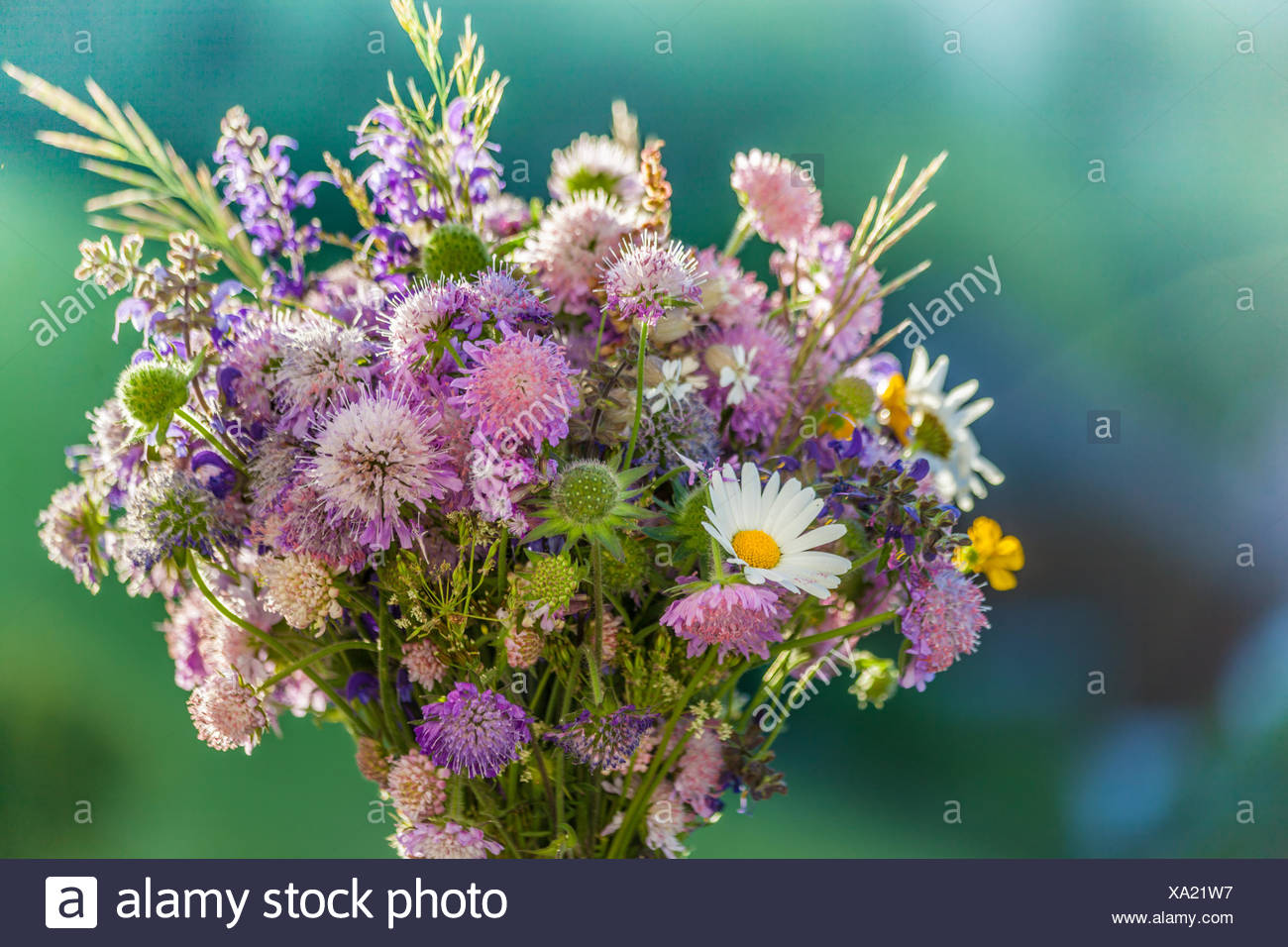 Botanique Multi Couleur Bouquet De Fleurs Sauvages - 
