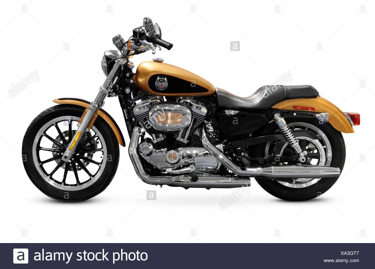 Harley Davidson 08 Sportster 105e Anniversaire Moto Custom Isole Sur Fond Blanc Photo Stock Alamy Harley Davidson 08 Sportster 105e Anniversaire Moto Custom Isole Sur Fond Blanc Photo Stock Alamy