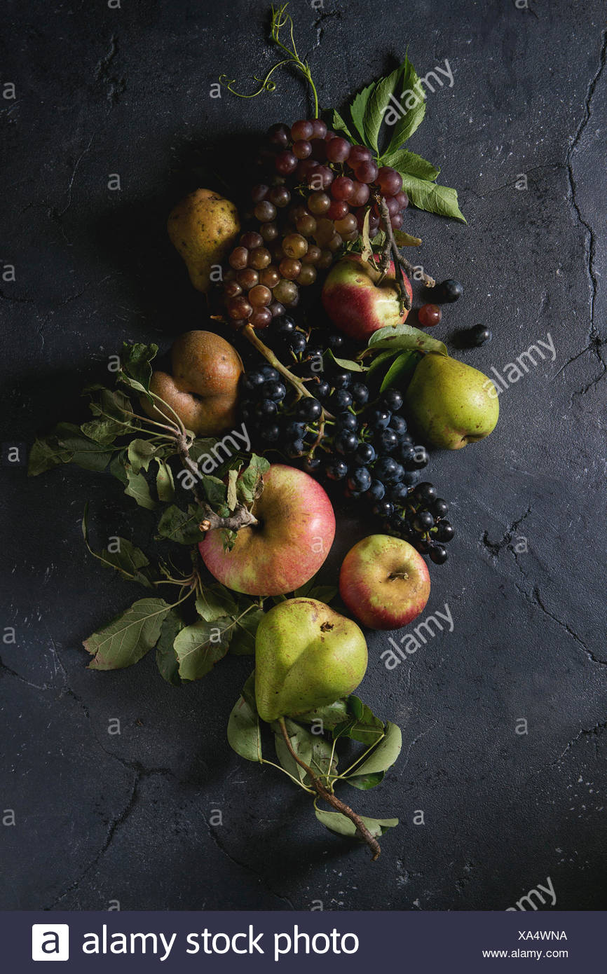 Variété de fruits d'automne venu les pommes biologiques, trois sortes de raisins, poires avec des feuilles sur fond texture sombre. Vue de dessus avec l'espace. nourriture backgrou Banque D'Images