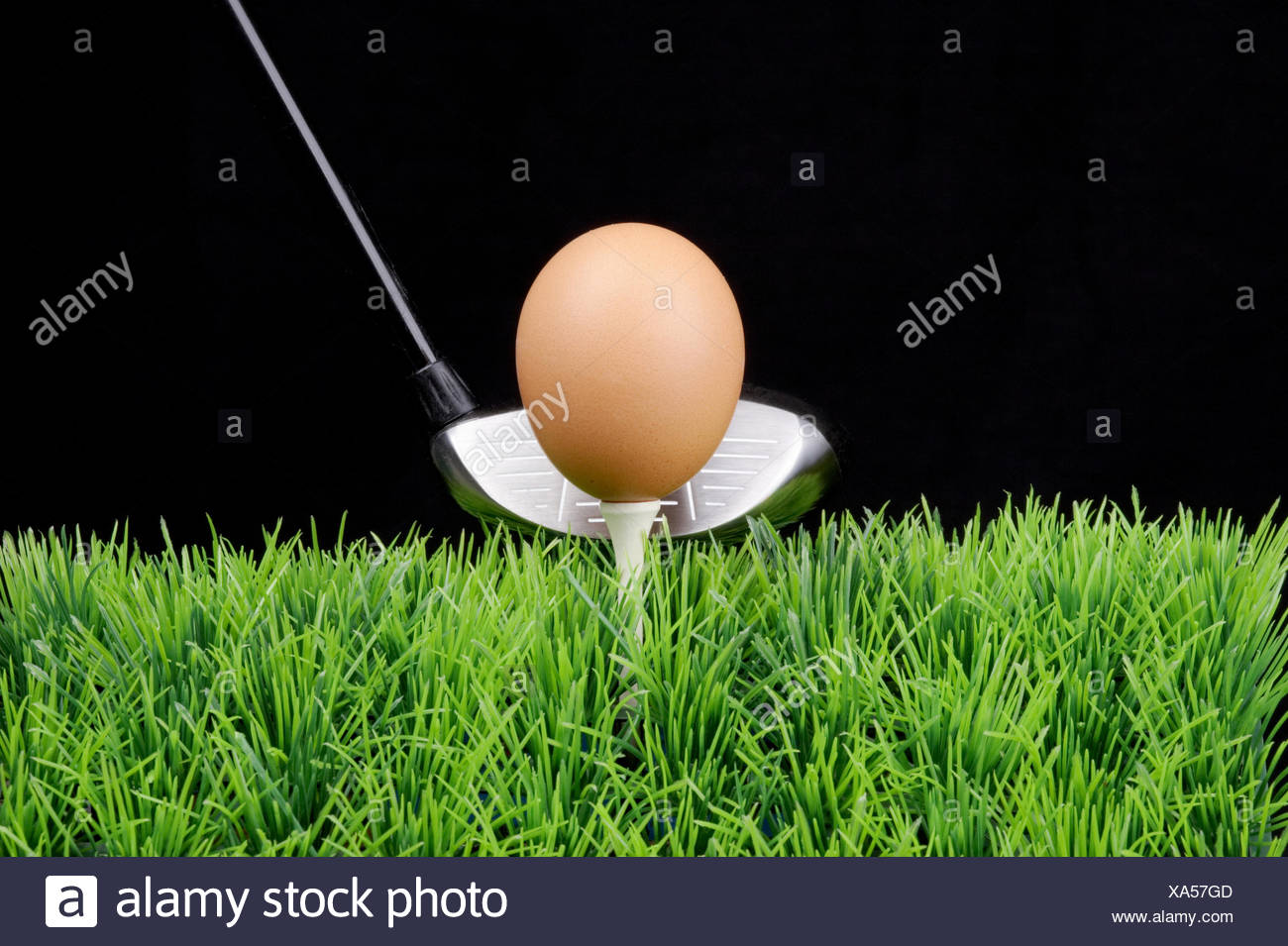 Téléchargement gratuit Images Golf Oeuf De Poule Humour Bizarre Banque D Images Photo Stock dernière salutations