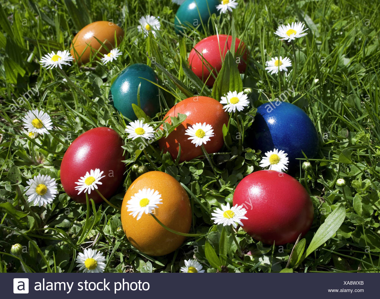 Fleur De Paques Oeufs De Paques Pre Printemps Paques Colore Poule Oeufs Oeufs Colores Colores Masque Masque Cherche Trouve Photo Stock Alamy